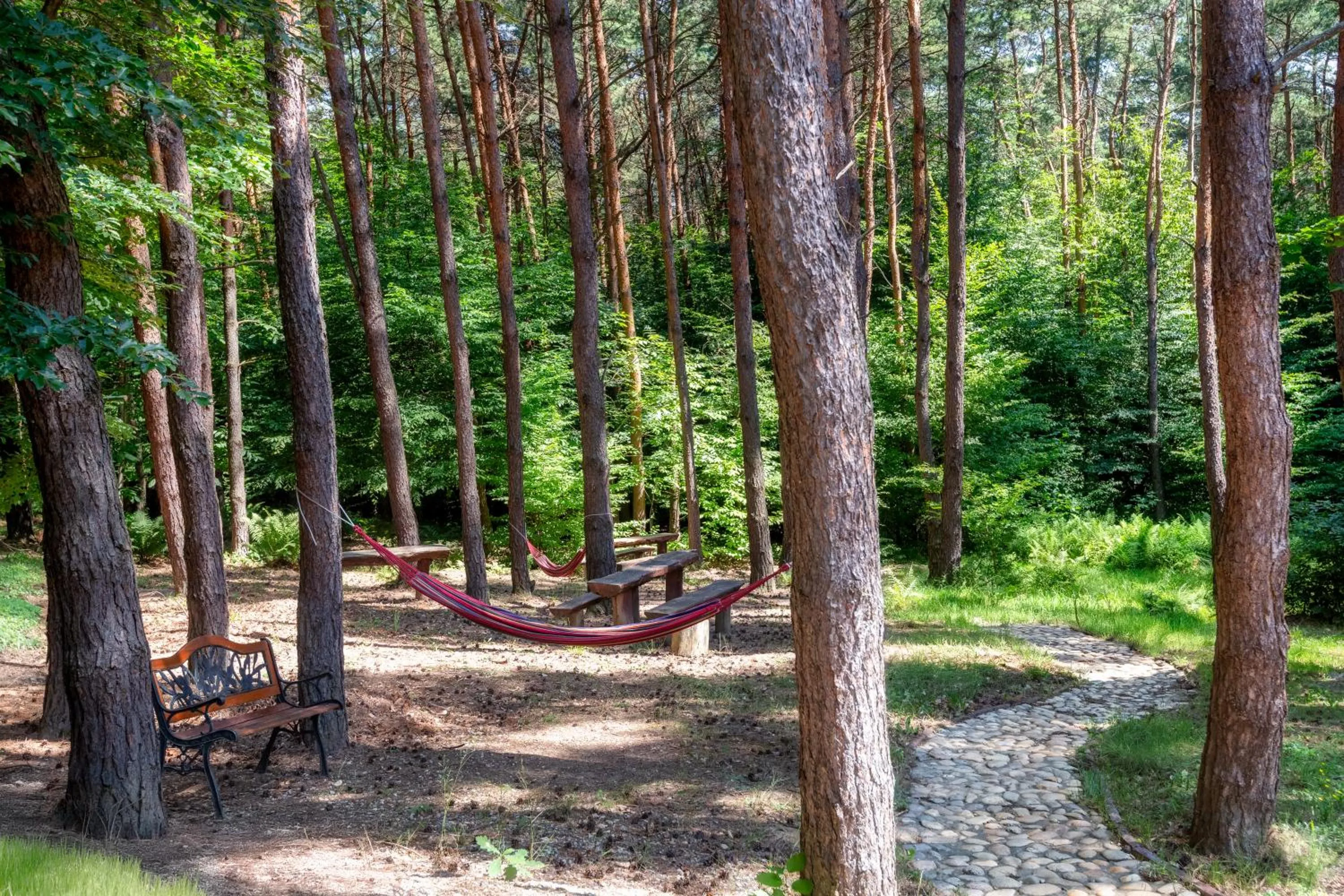Natural landscape in Gosztola Gyöngye-az erdő szállodája