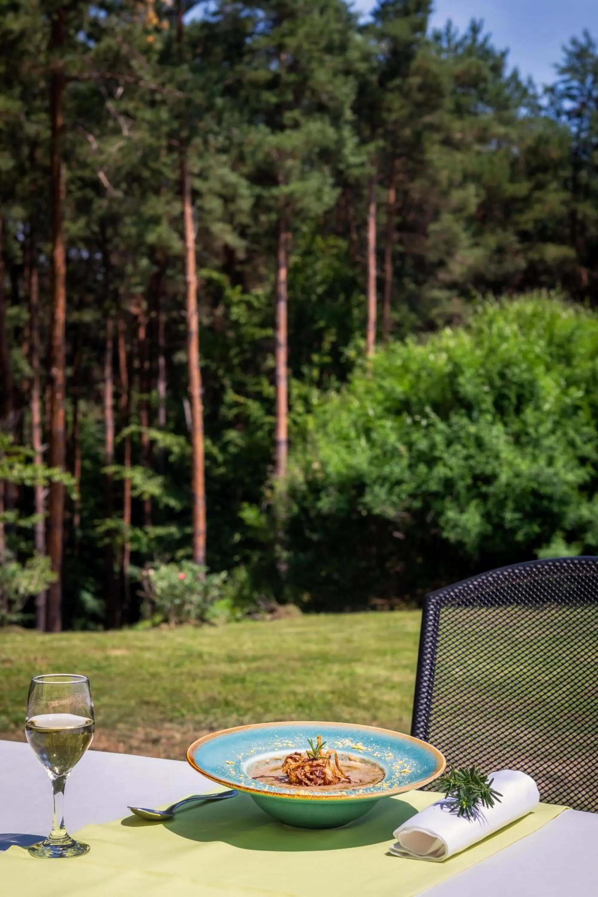 Food and drinks in Gosztola Gyöngye-az erdő szállodája