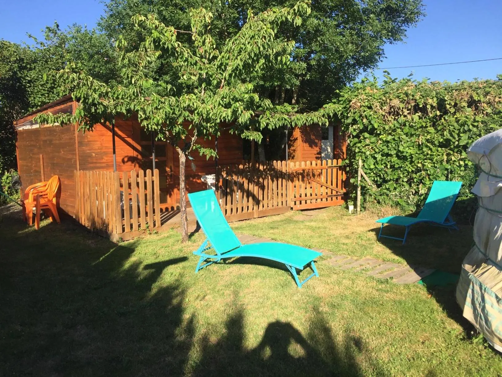 Garden in Yourte mongole