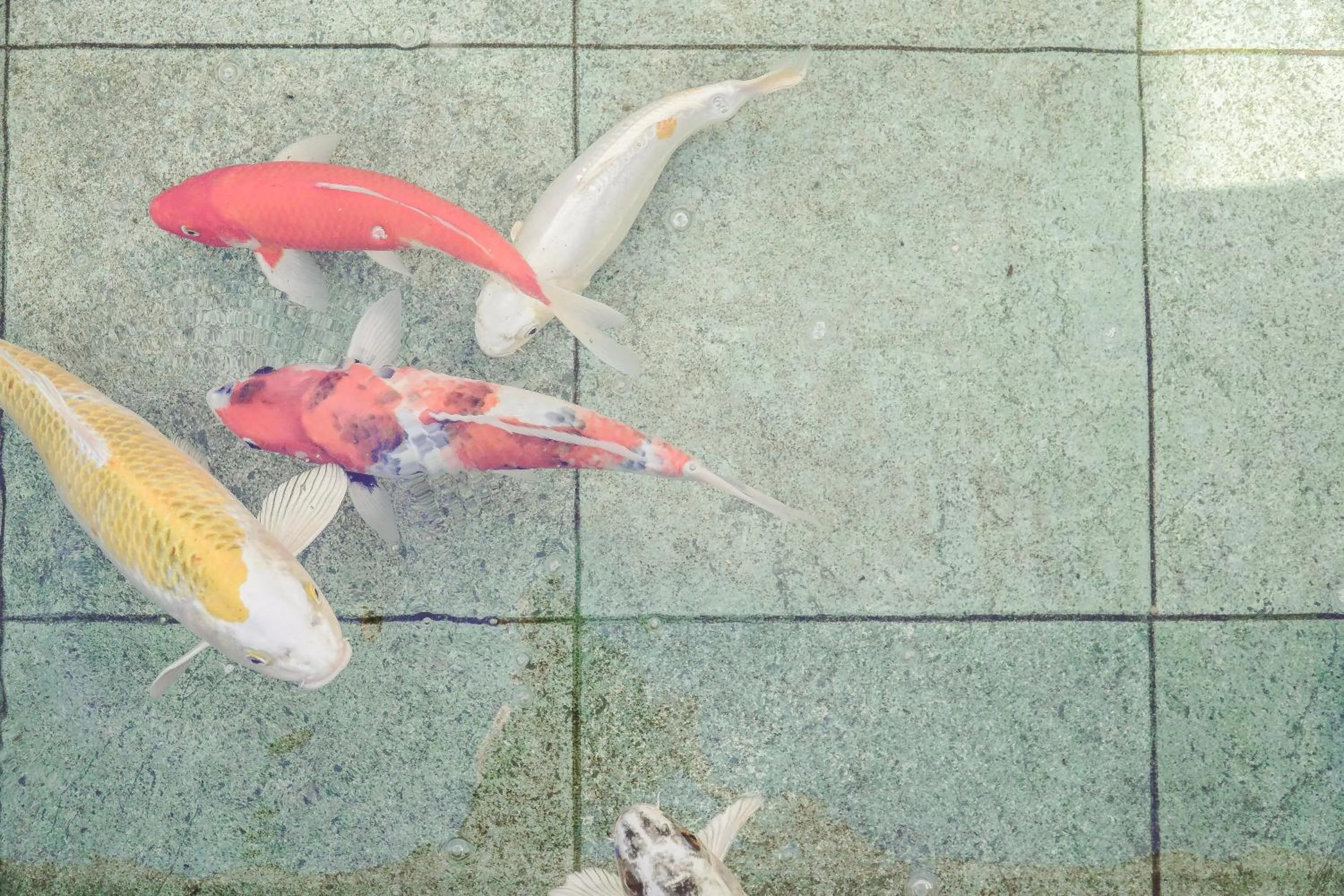 Hotel Vila Germânica