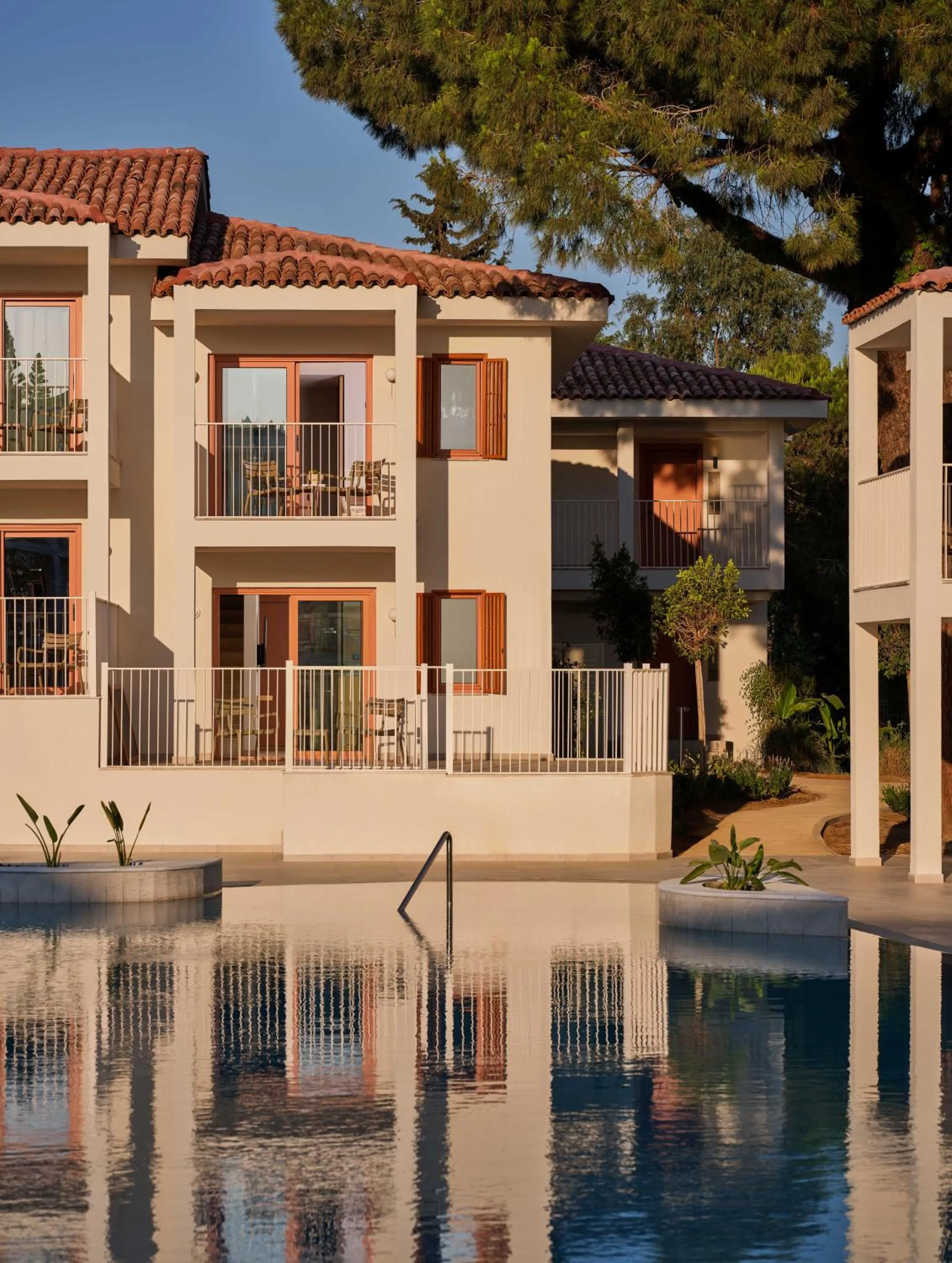 Pool view in Paloma Grida