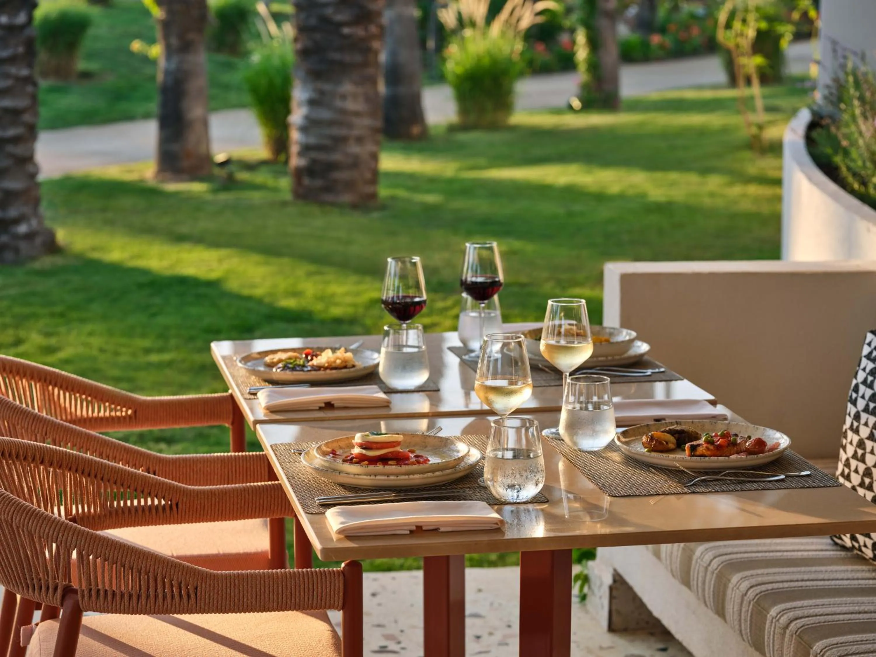 Garden in Paloma Grida