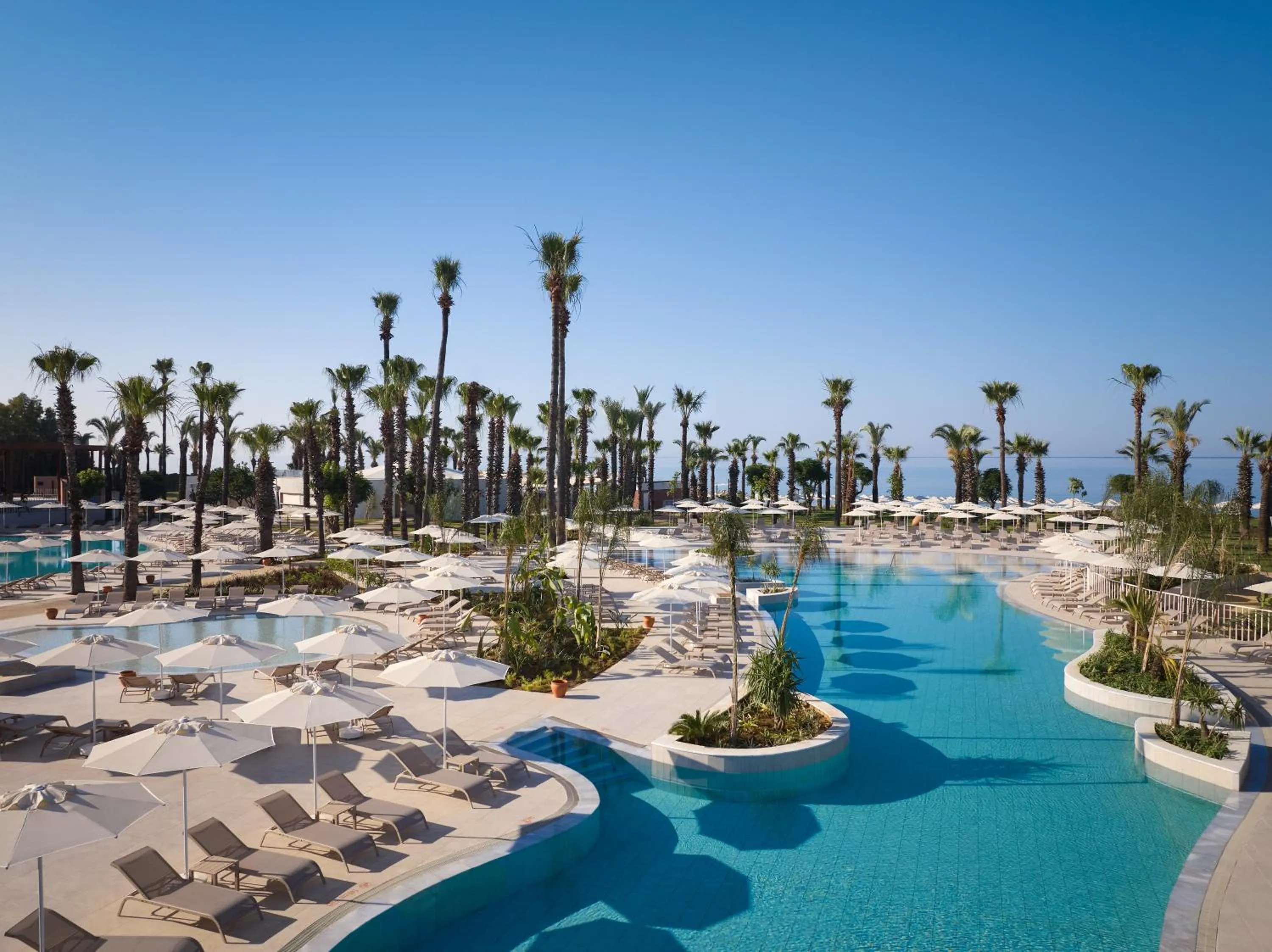 Swimming pool in Paloma Grida