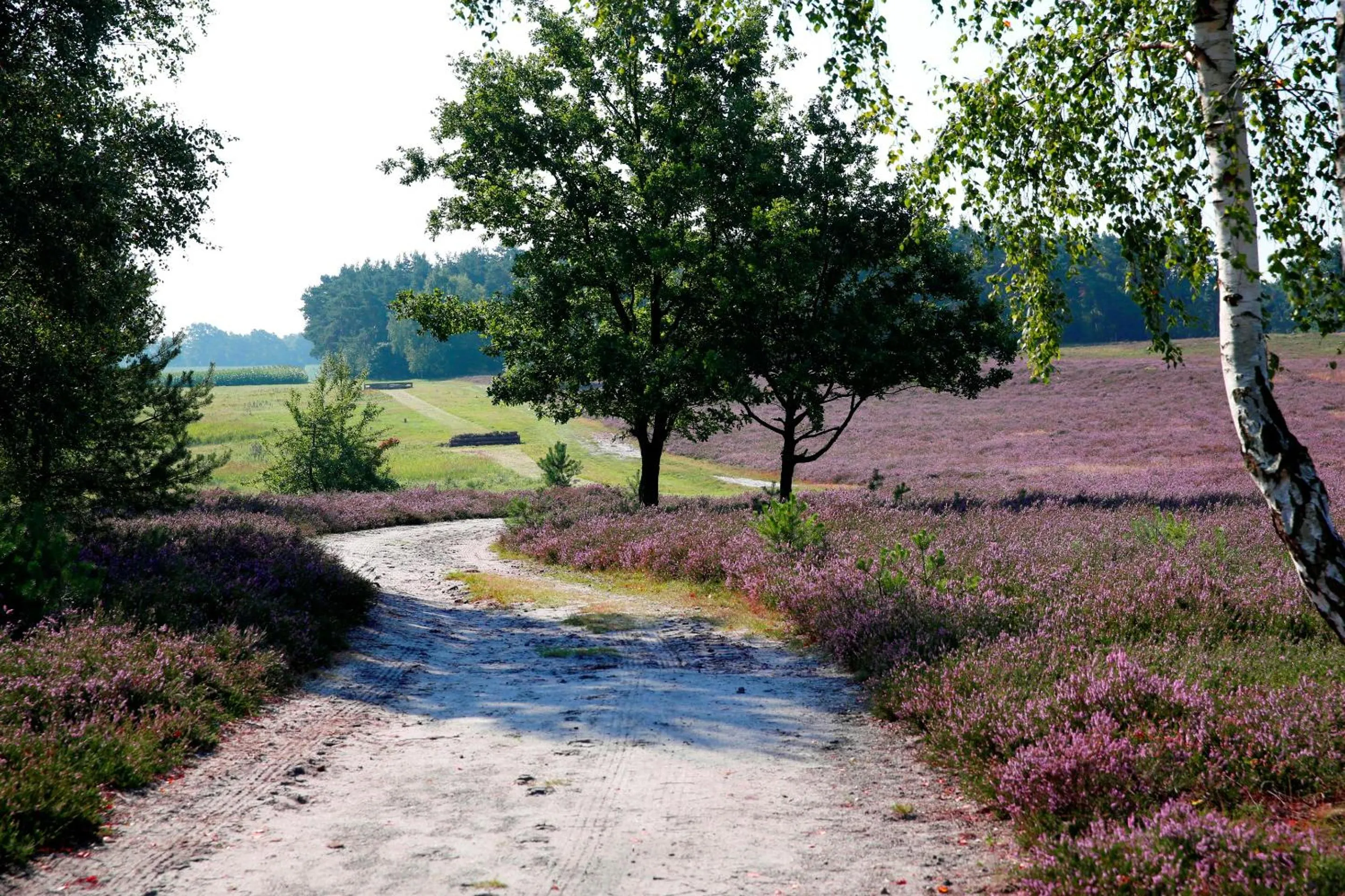 Natural landscape in Landhotel Baumanns Hof