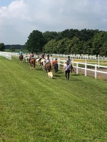 Horse-riding in Landhotel Baumanns Hof