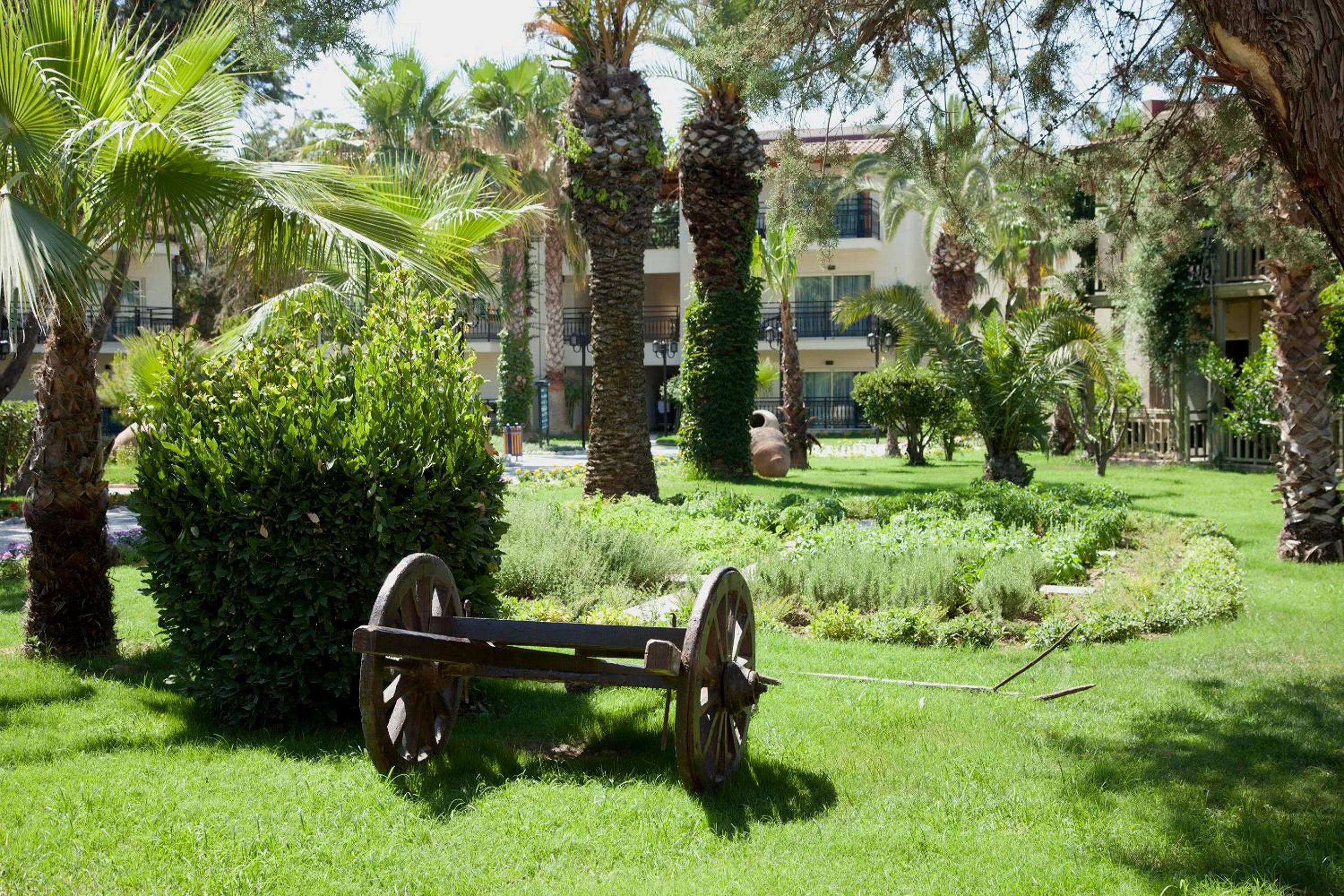 Garden in Paloma Oceana