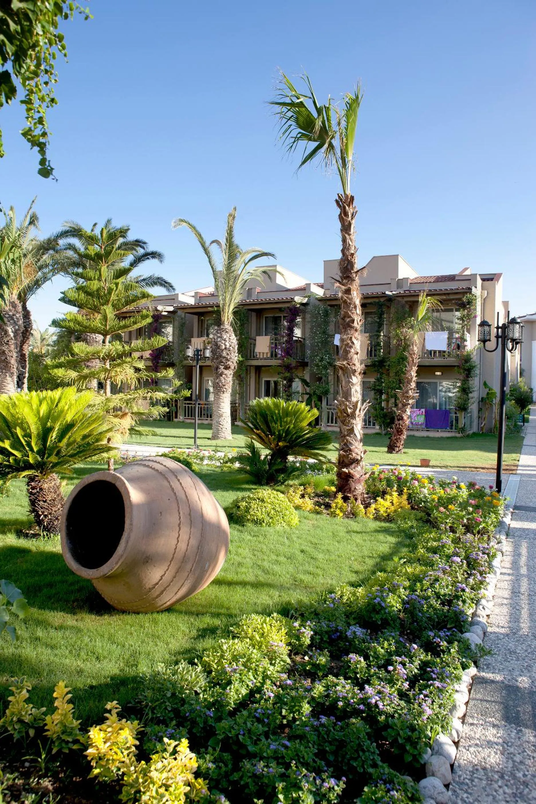 Garden in Paloma Oceana