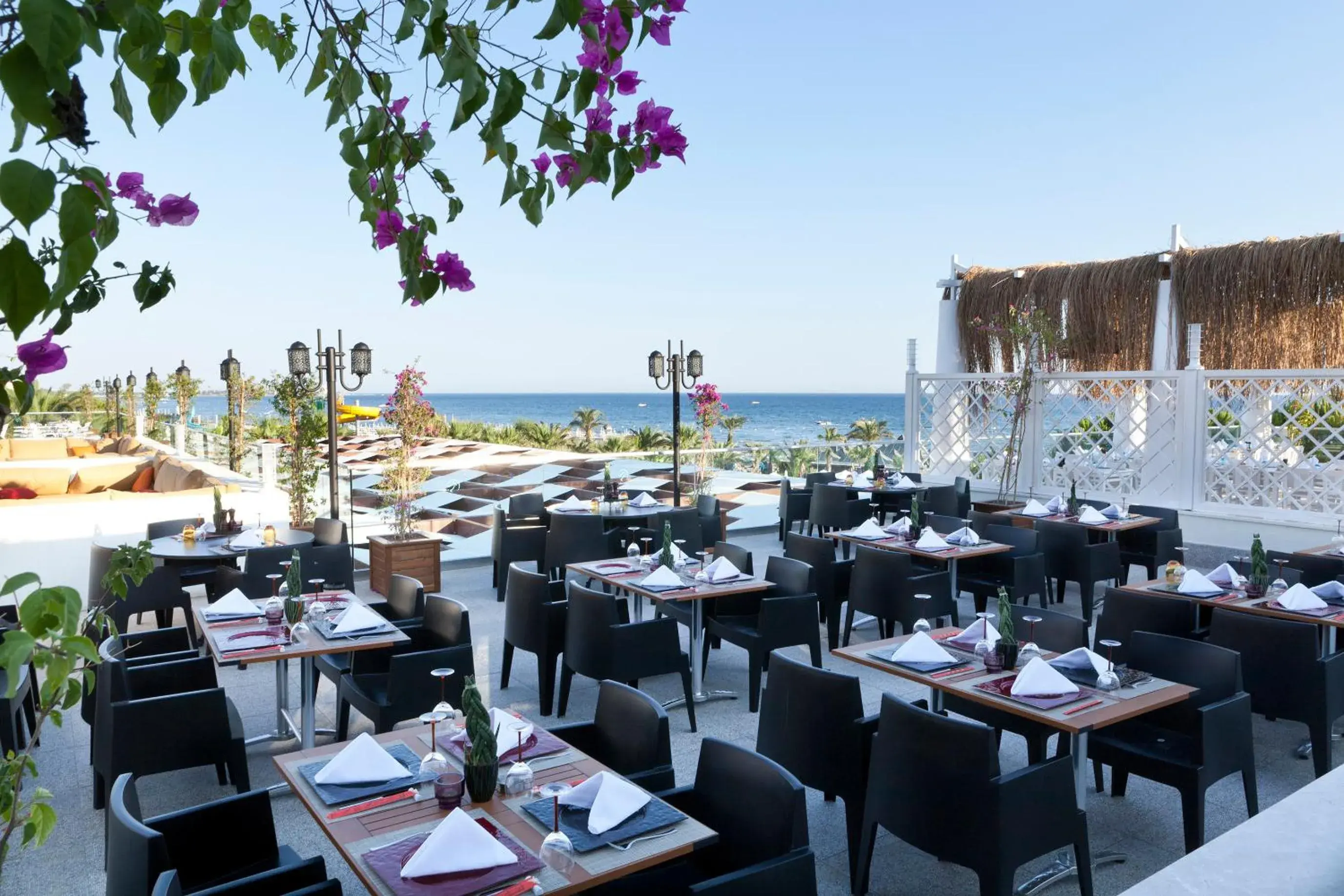 Restaurant/Places to Eat in Paloma Oceana Restaurant/Places to Eat in Paloma Oceana
