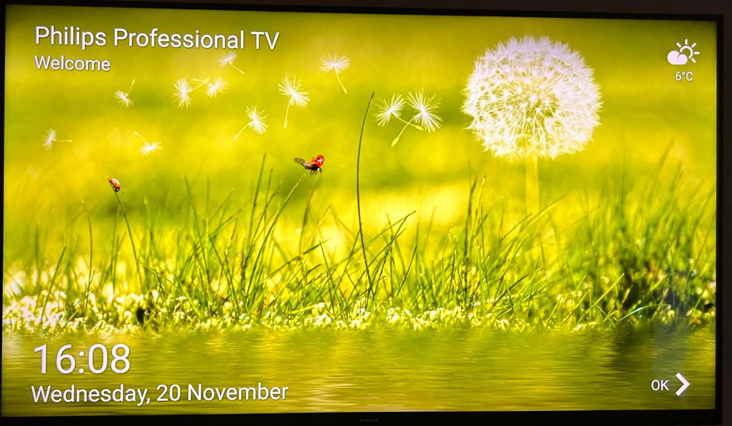 TV and multimedia in tauwerk Hotel