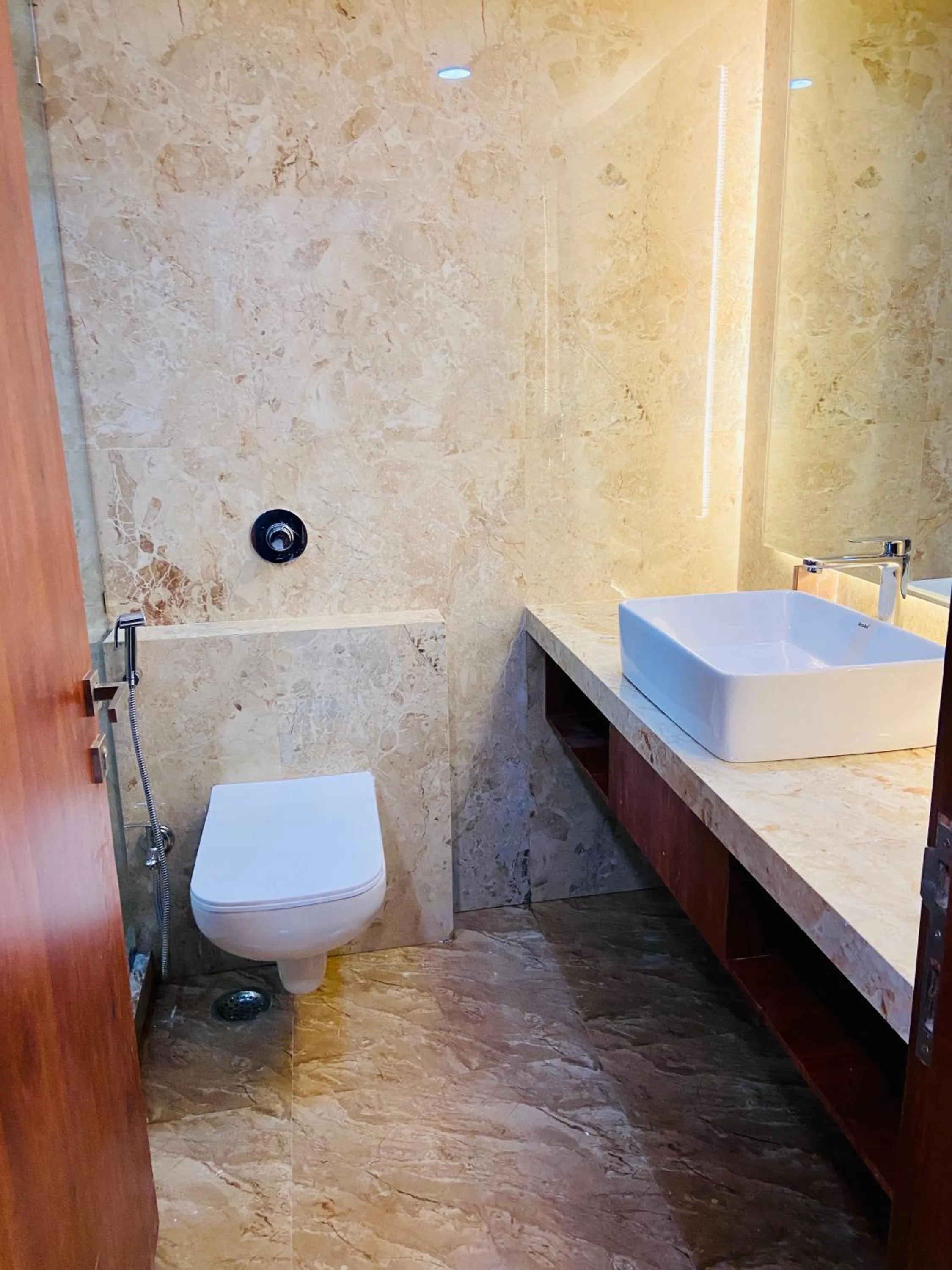 Toilet in Hotel Parle International