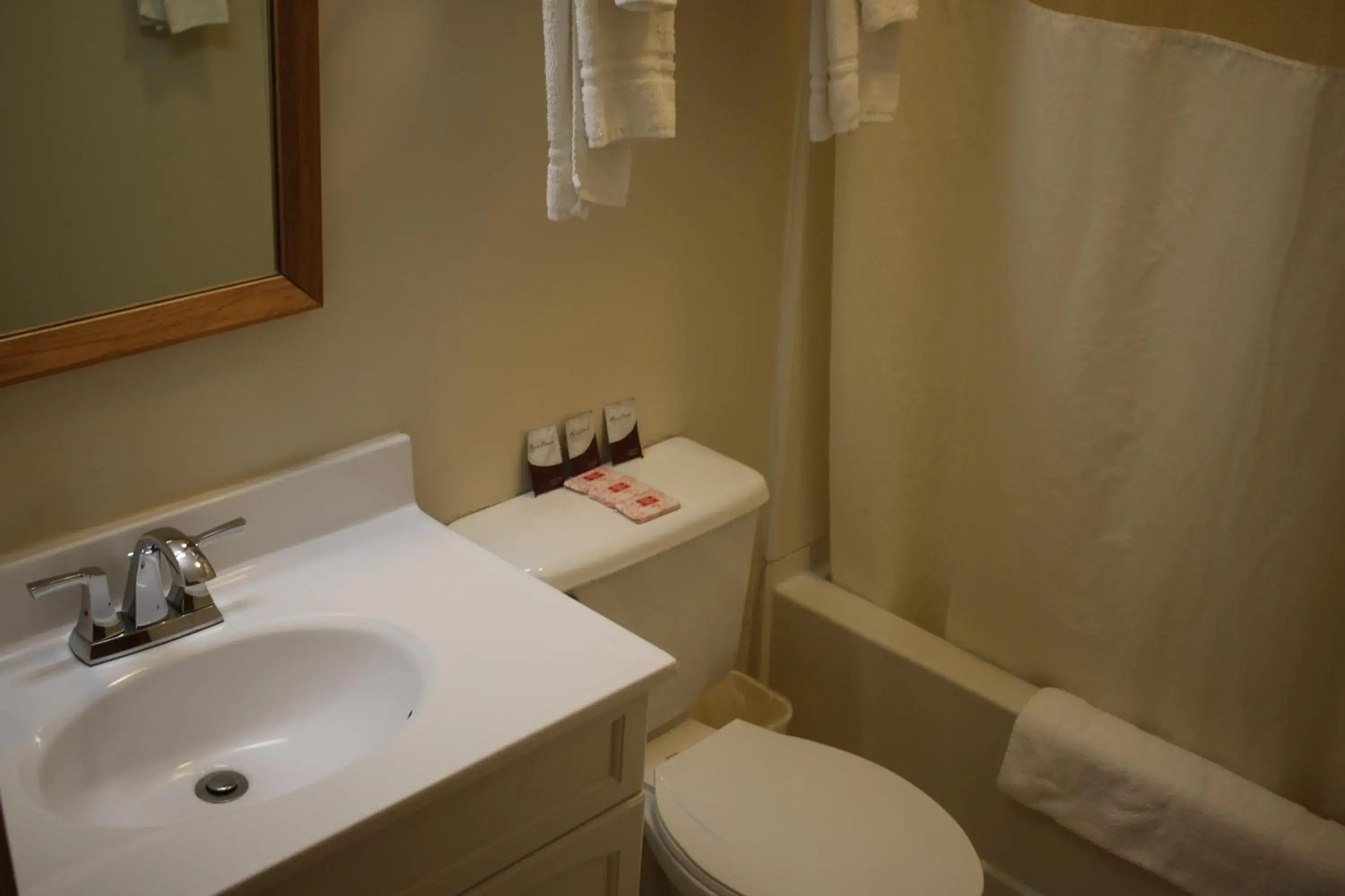 Bathroom in Rodeway Inn & Suites North Sioux City I-29