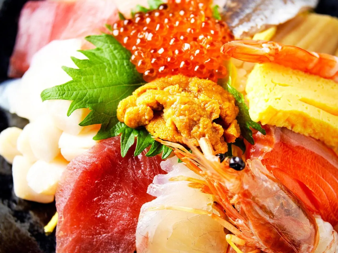 Restaurant/places to eat in Hotel Euro City