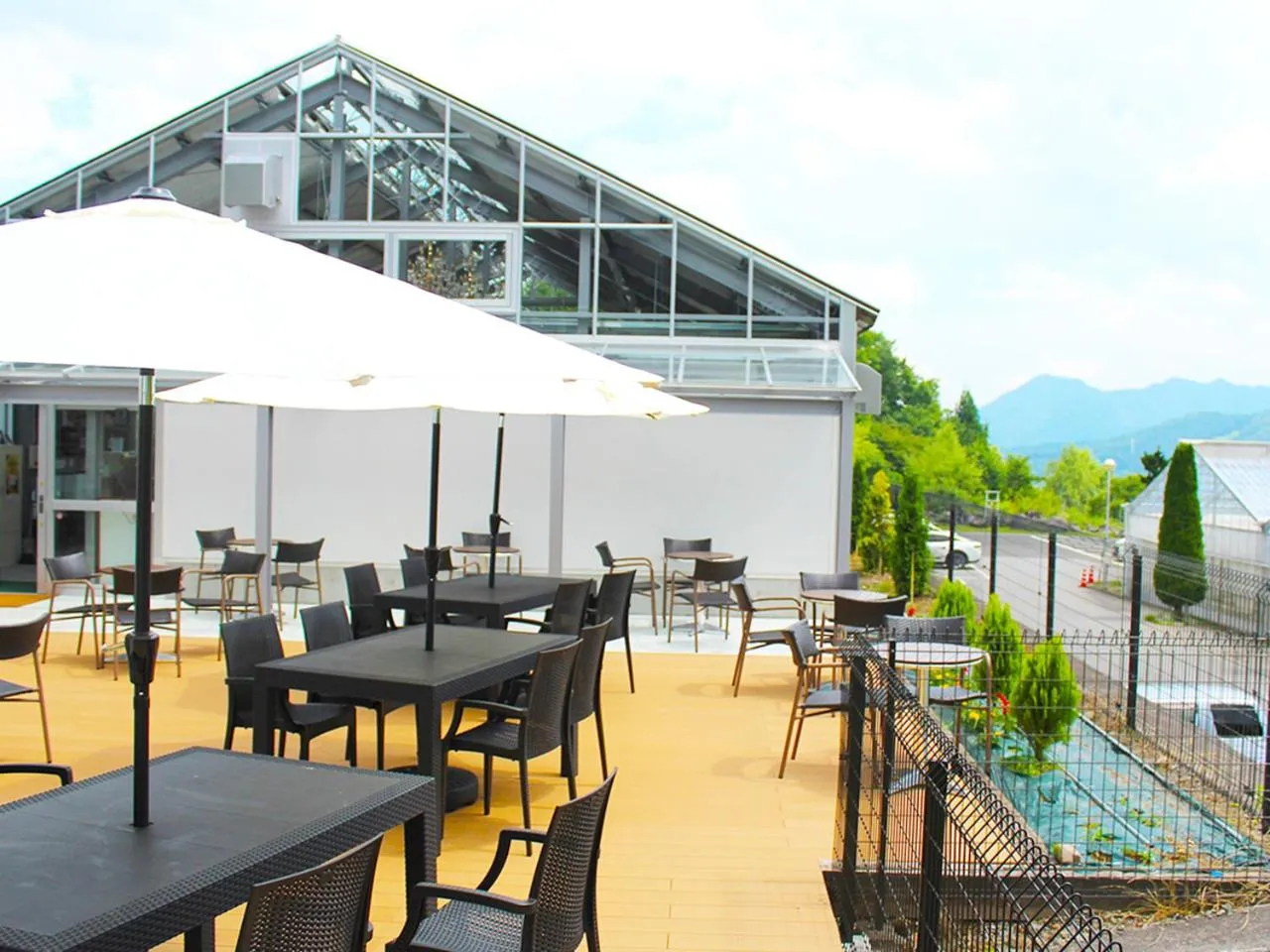 Restaurant/places to eat in Hotel Euro City