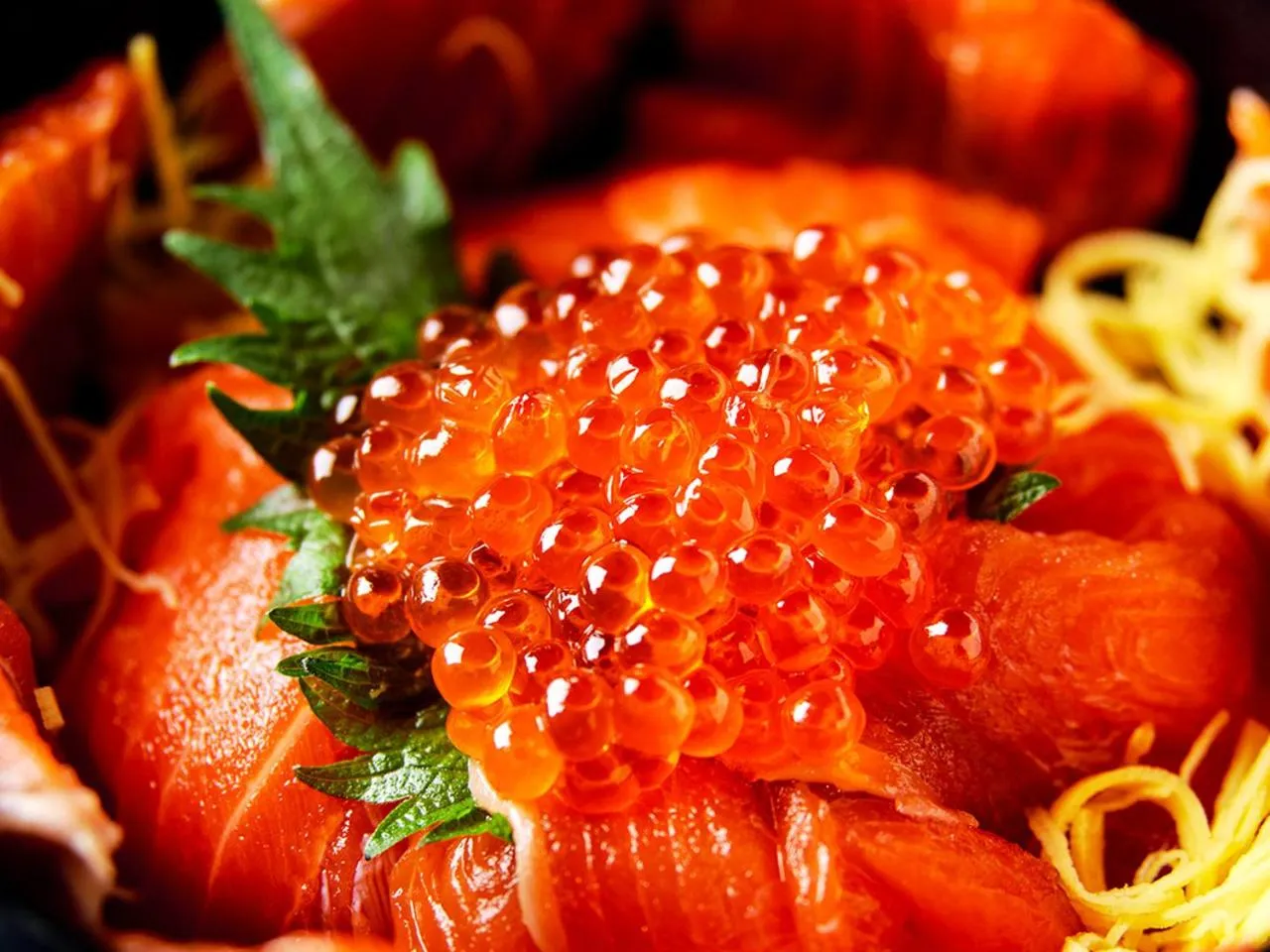 Restaurant/places to eat in Hotel Euro City