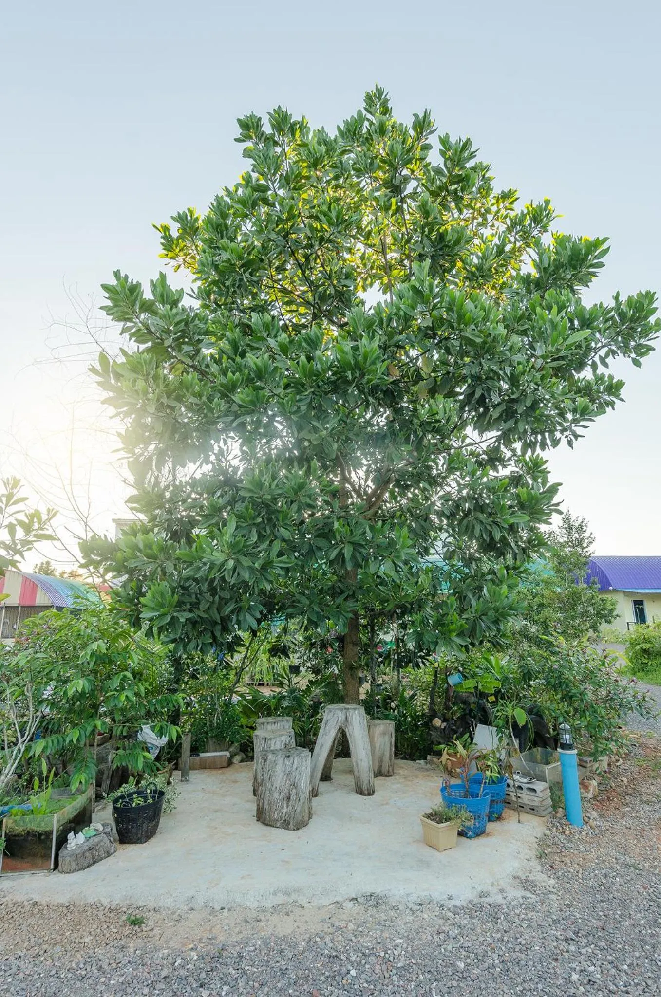 Property building in Ariya Garden Home