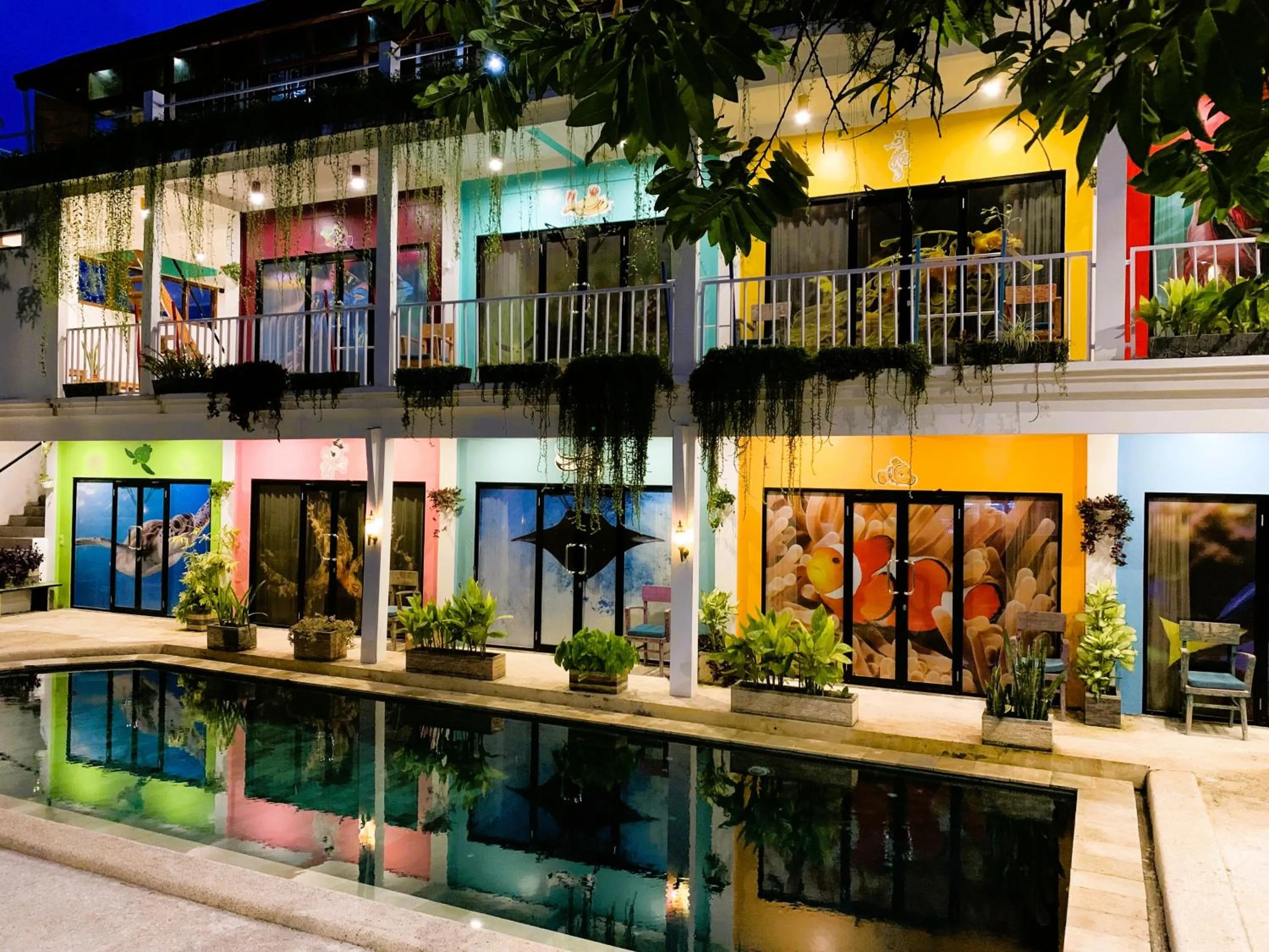 Property building in Dragon Dive Komodo Dive Resort