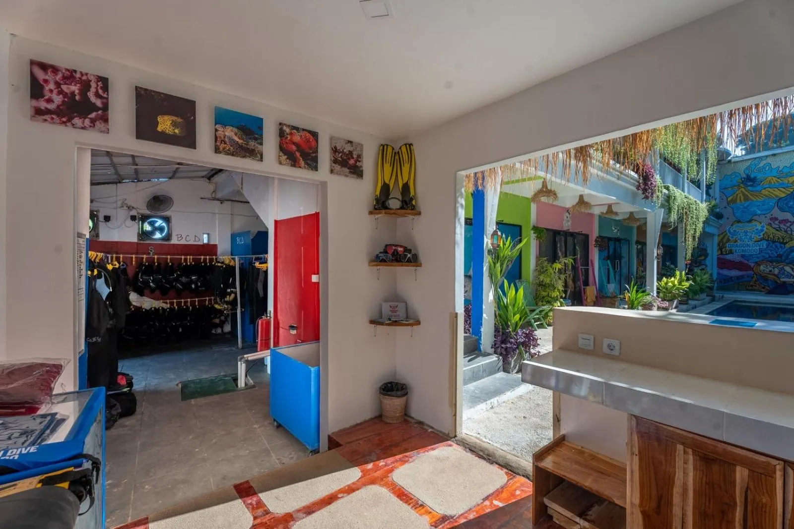 Diving in Dragon Dive Komodo Dive Resort