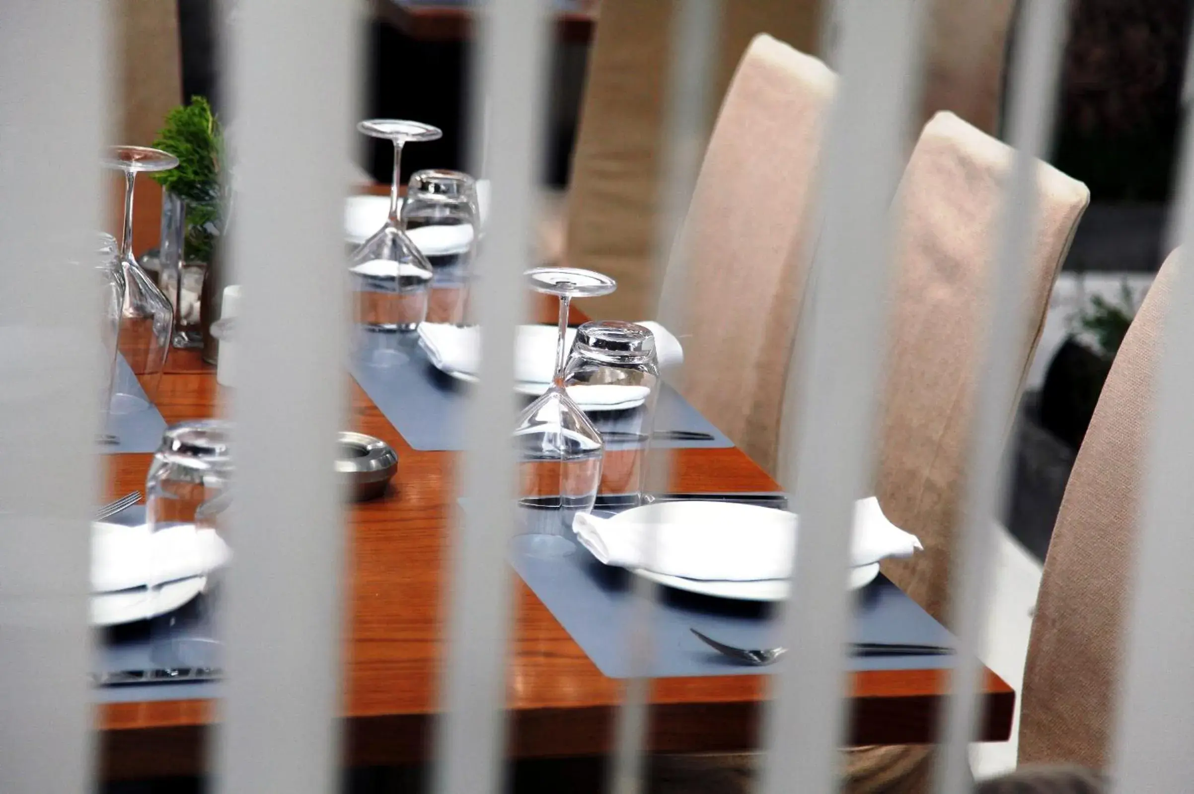 Restaurant/places to eat in Fresh Boutique Hotel Restaurant/places to eat in Fresh Boutique Hotel