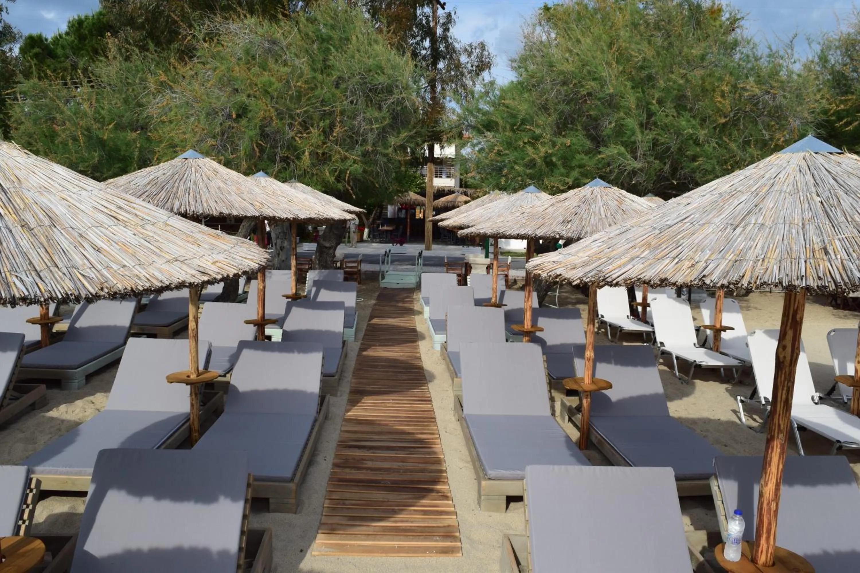 Restaurant/places to eat in Astri Hotel