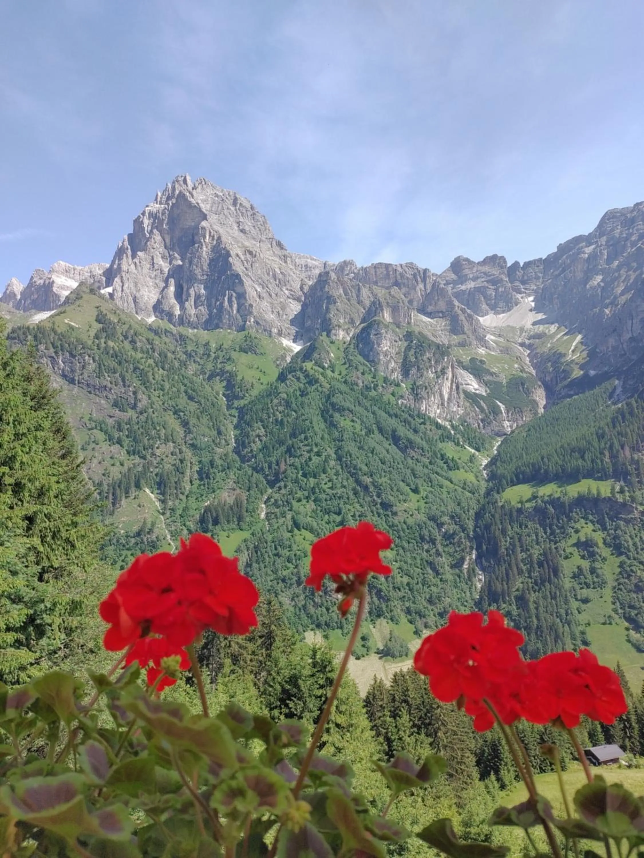 Hiking in Hotel Schuster