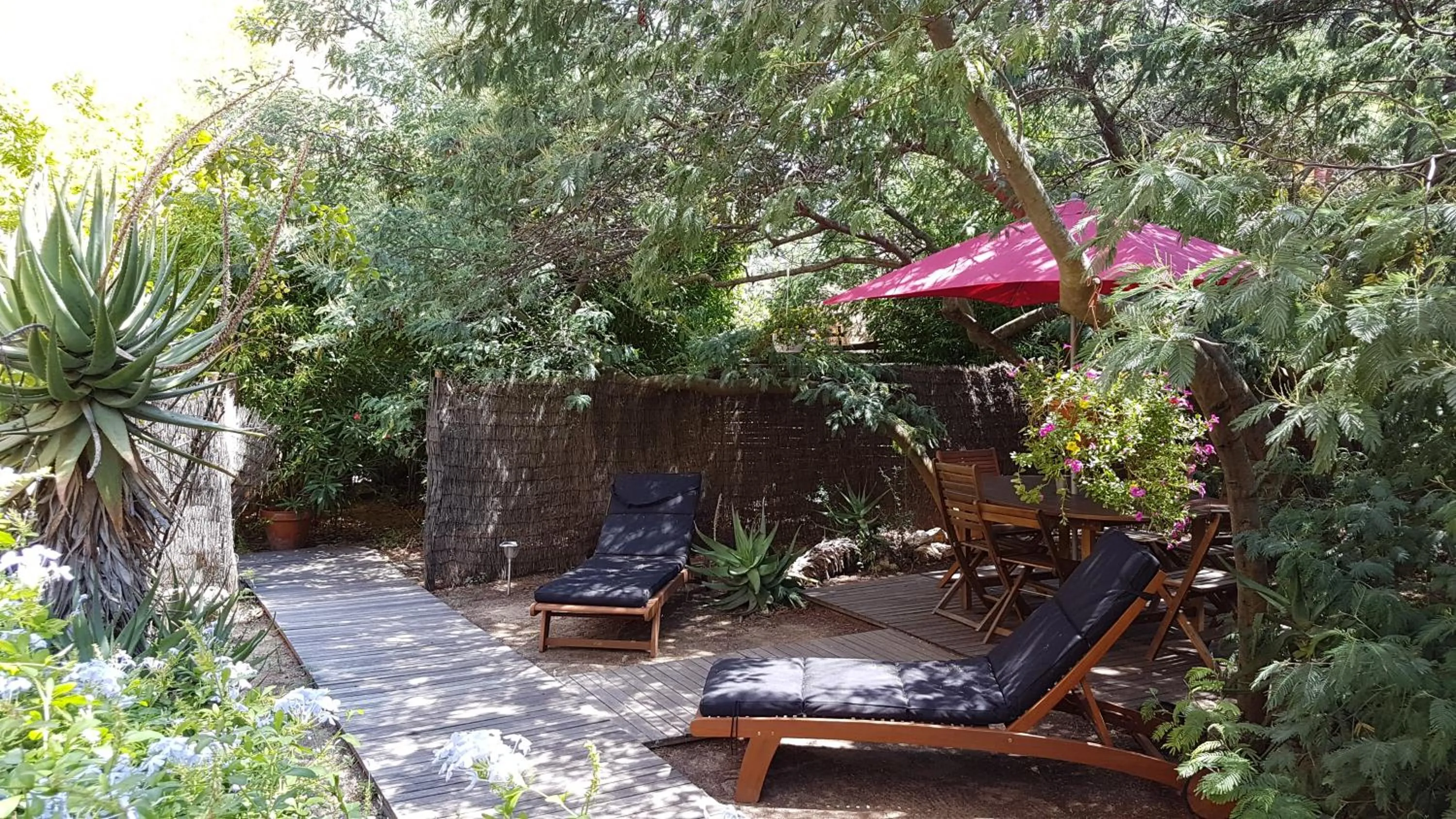 Patio in Casa Orsoni