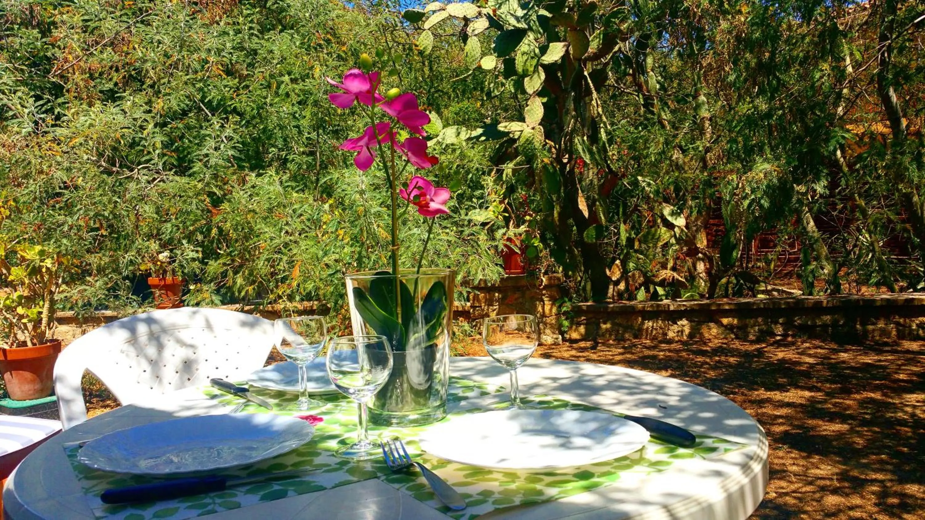 Patio in Casa Orsoni