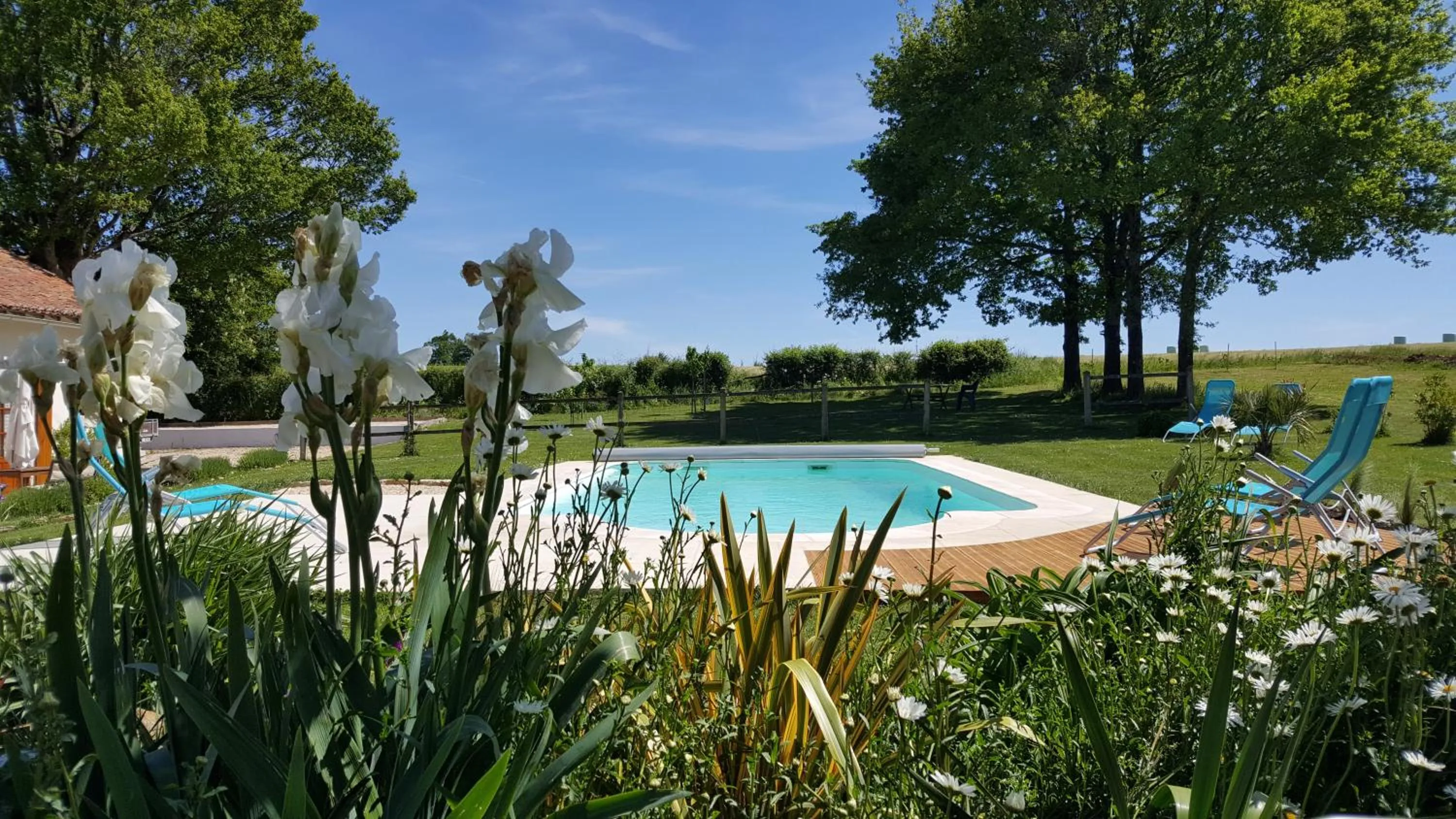 Swimming pool in La Vieille Gorce Chambres d'Hôtes near Civray