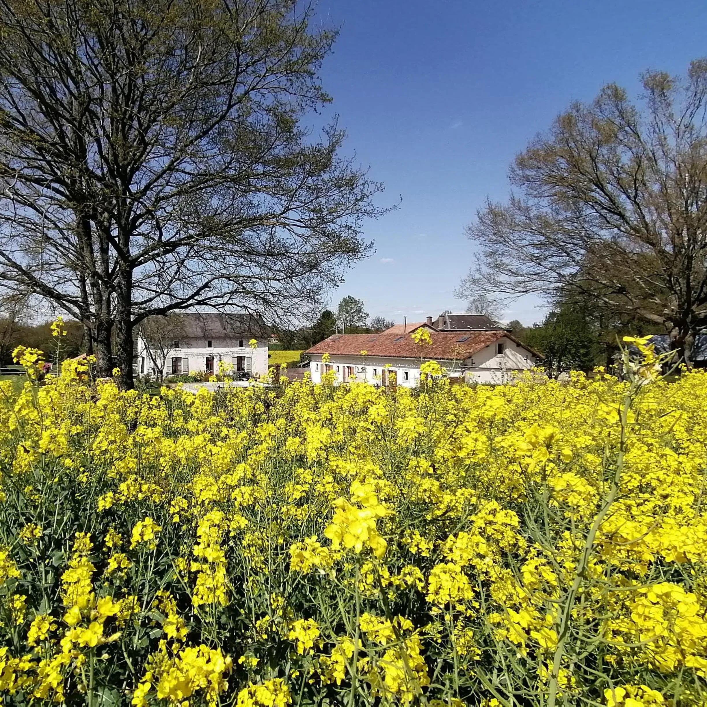 Natural landscape in La Vieille Gorce Chambres d'Hôtes near Civray