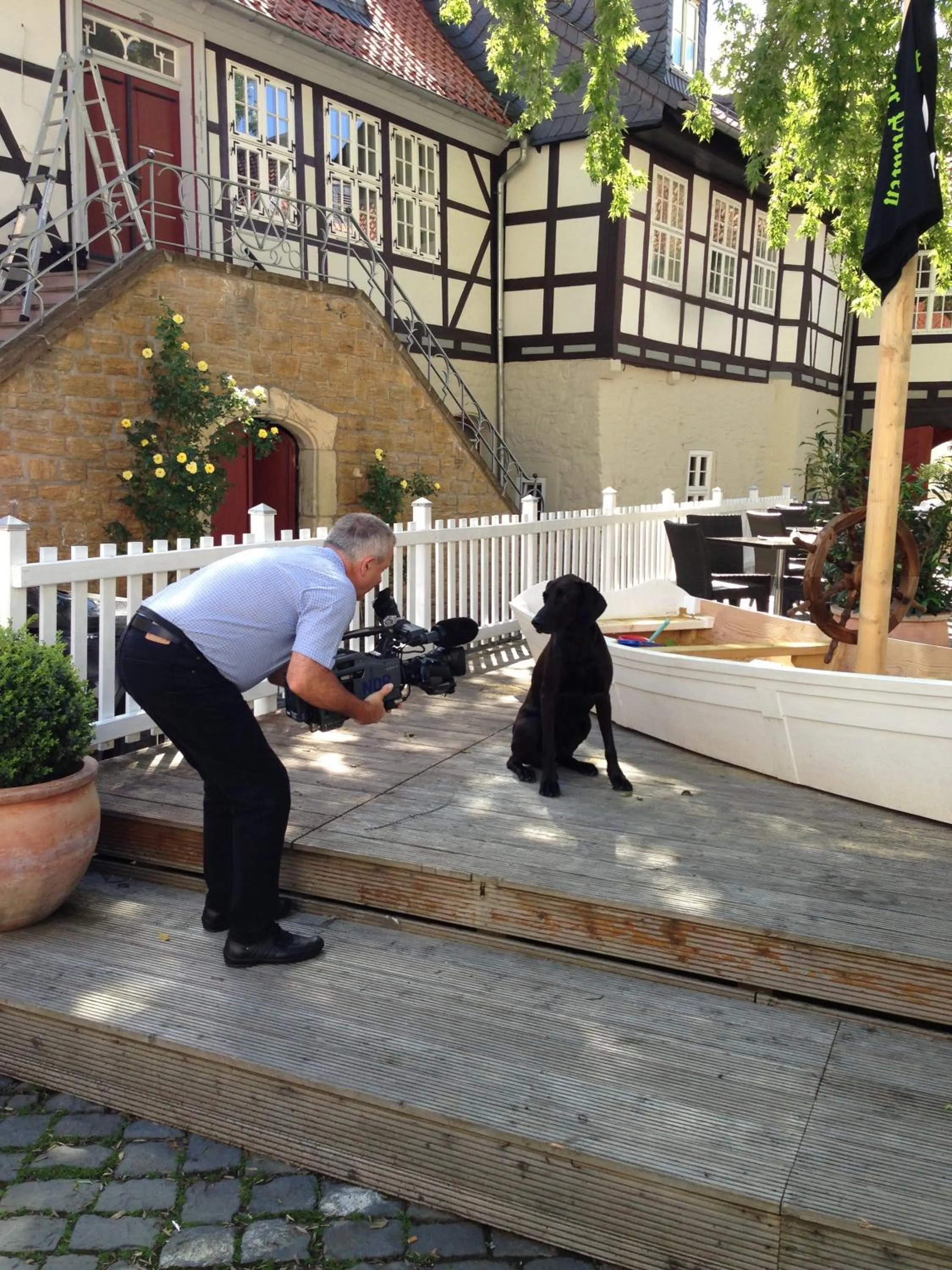 Pets in Schiefer Suite Hotel & Apartments