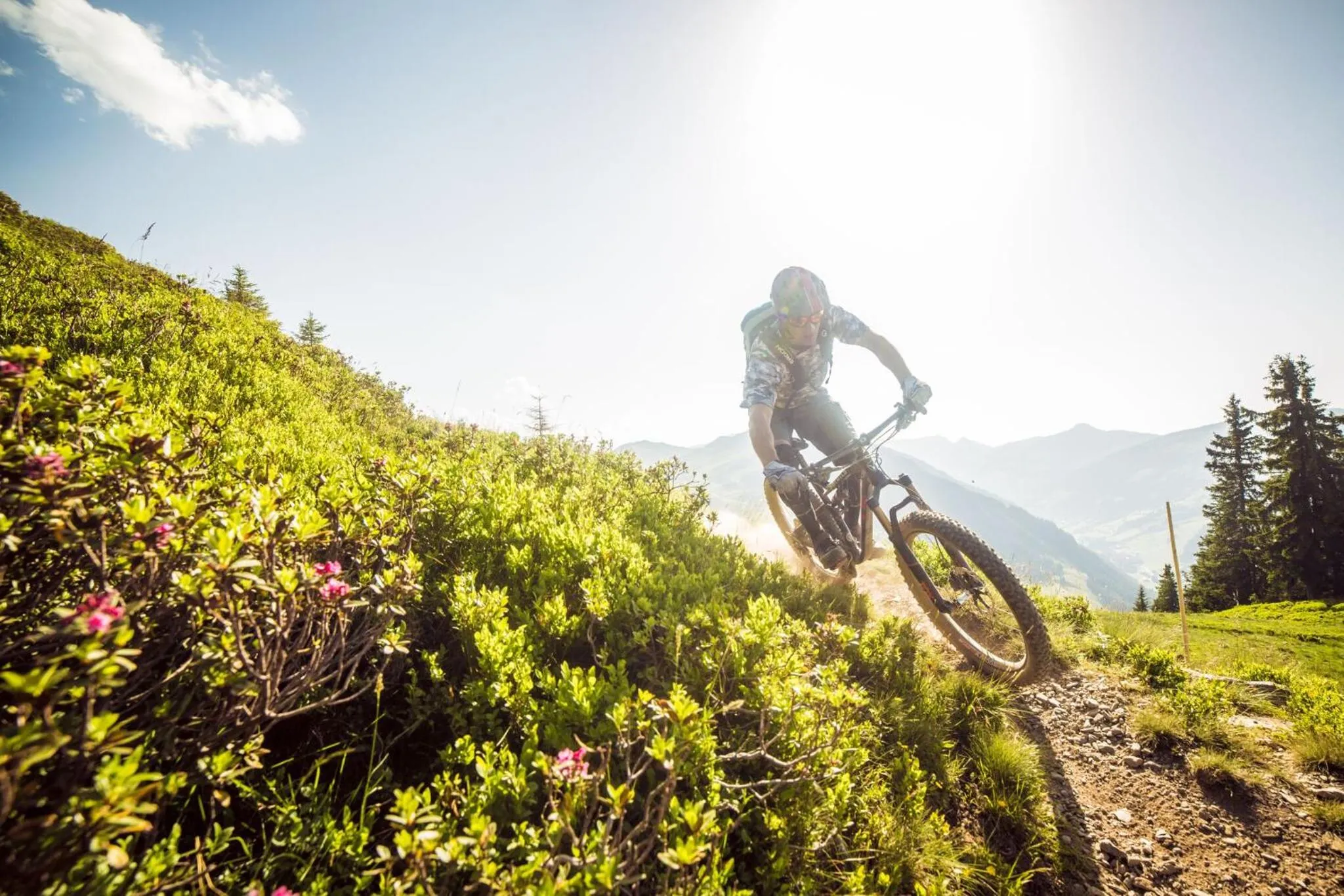 Activities in Schiefer Suite Hotel & Apartments