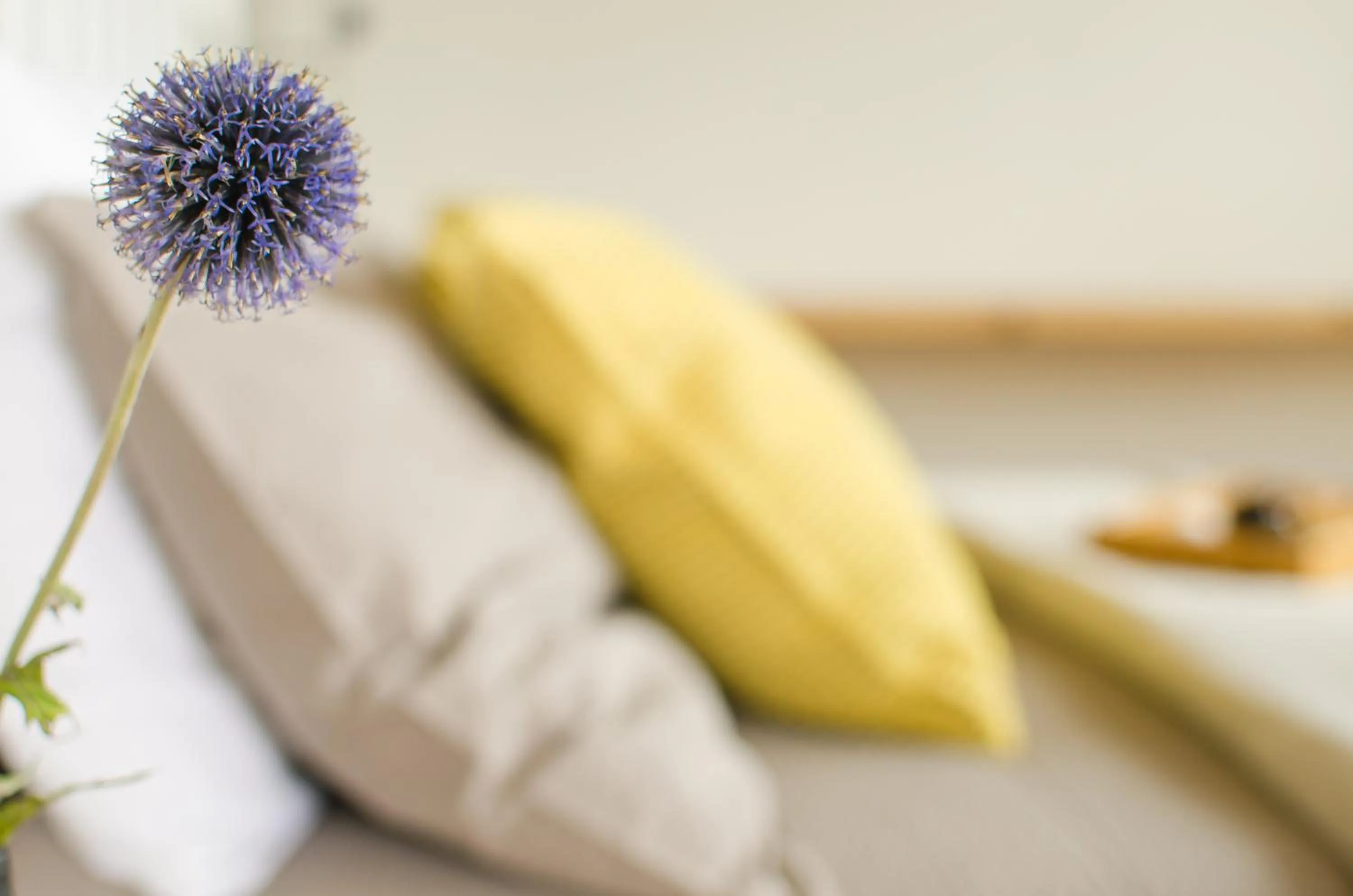 Decorative detail in B&B Lupo