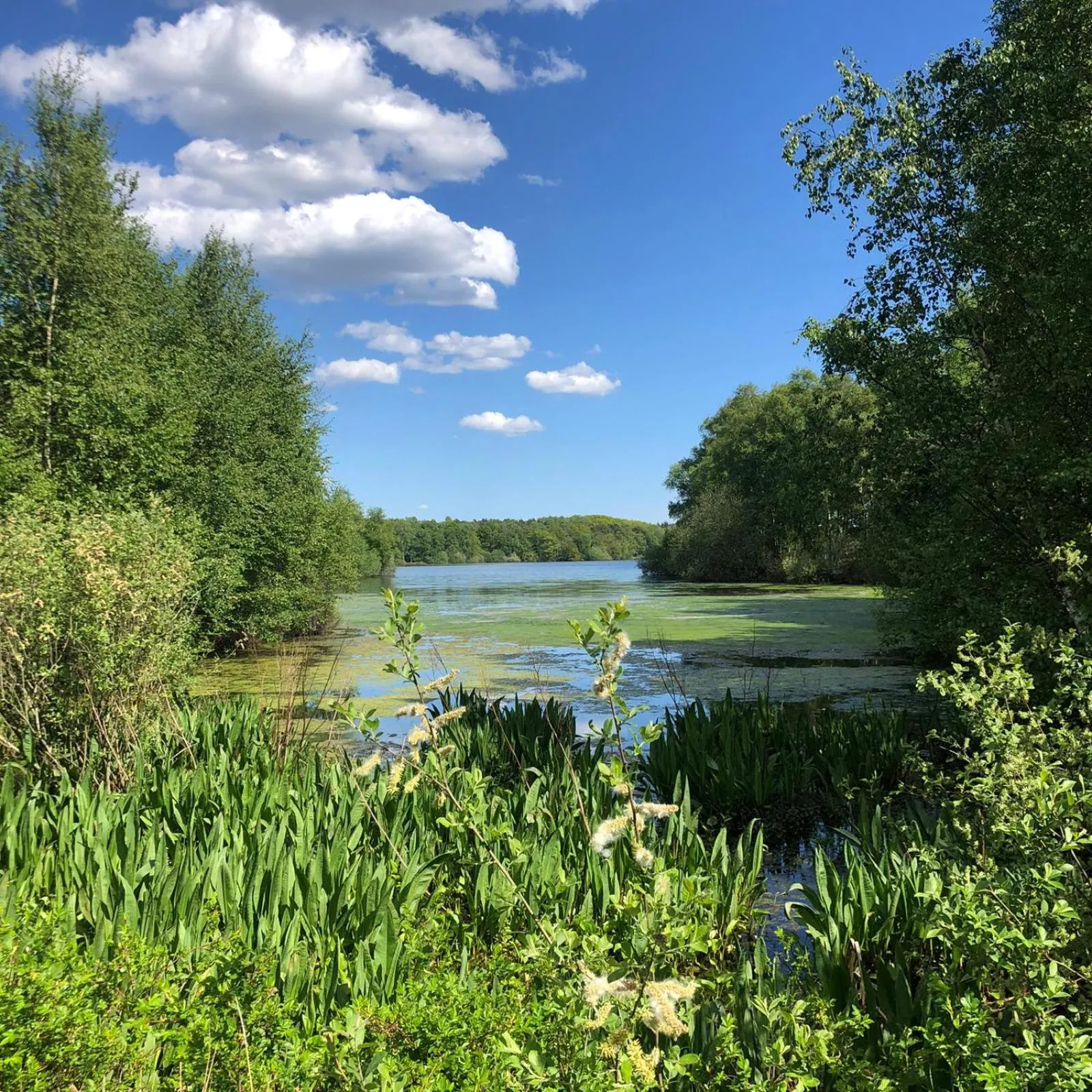 Natural landscape in Hotel Heidegrund