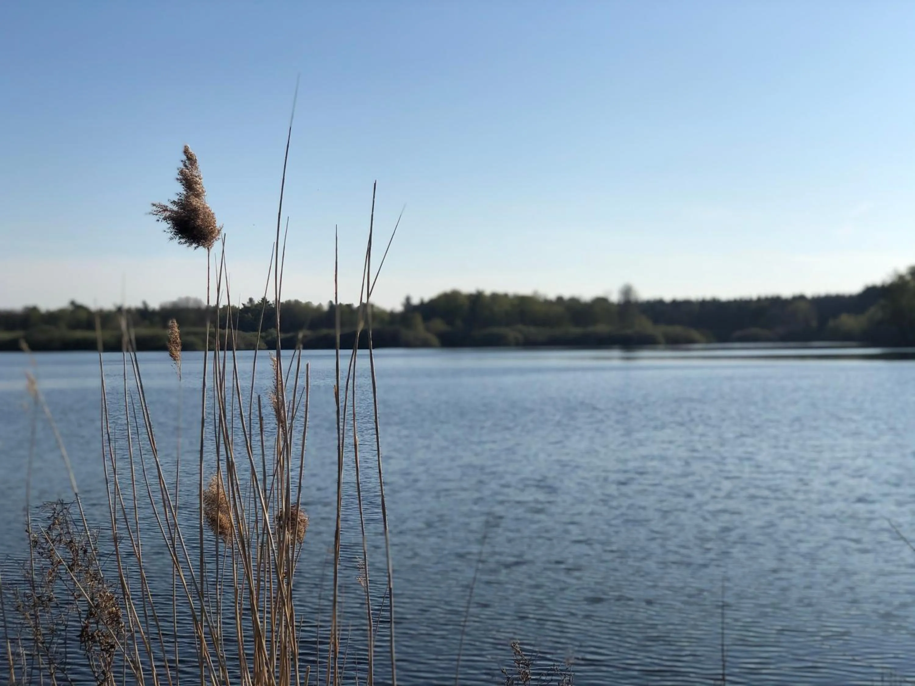 Natural landscape in Hotel Heidegrund