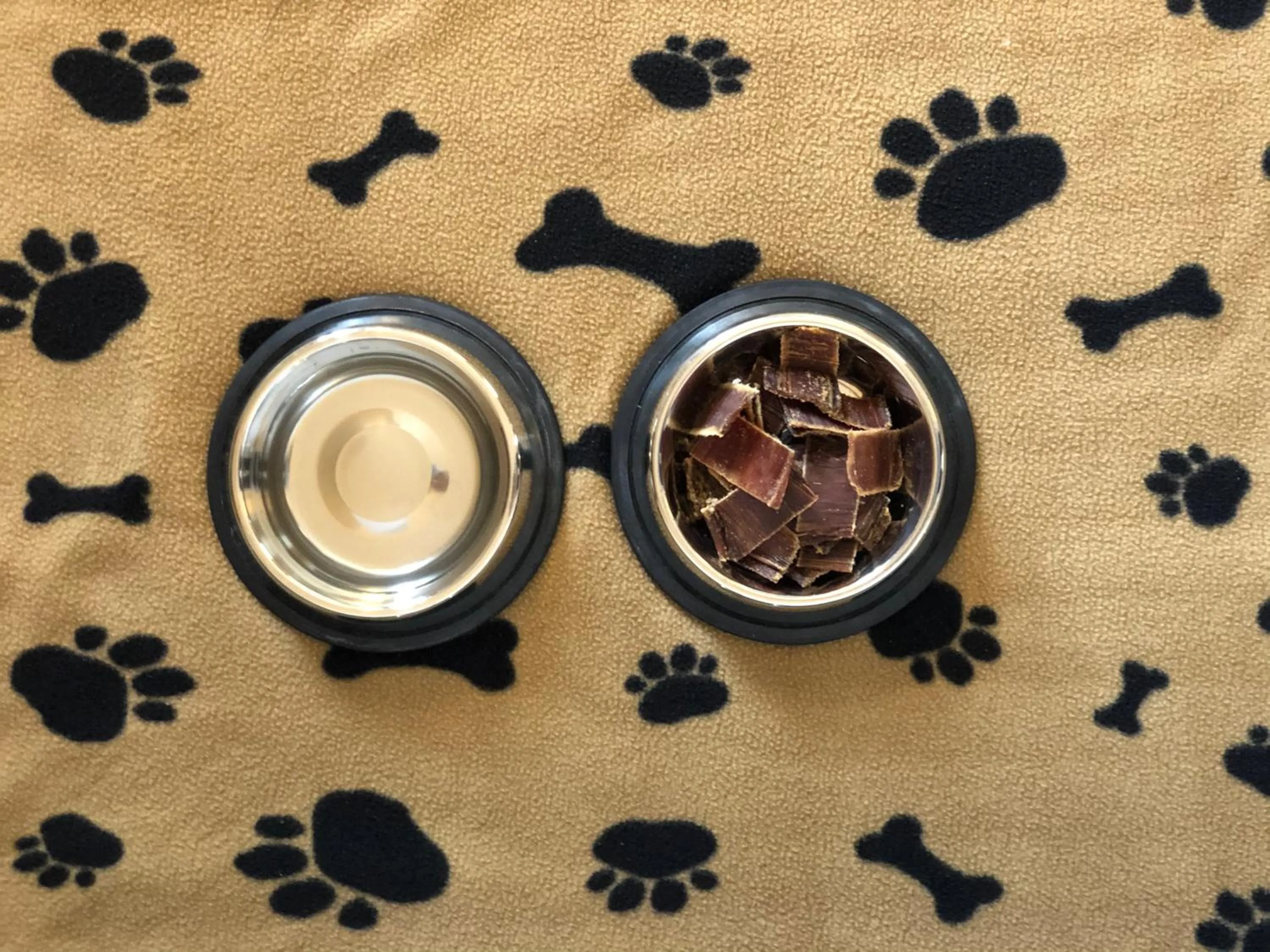 Pets in Hotel Heidegrund