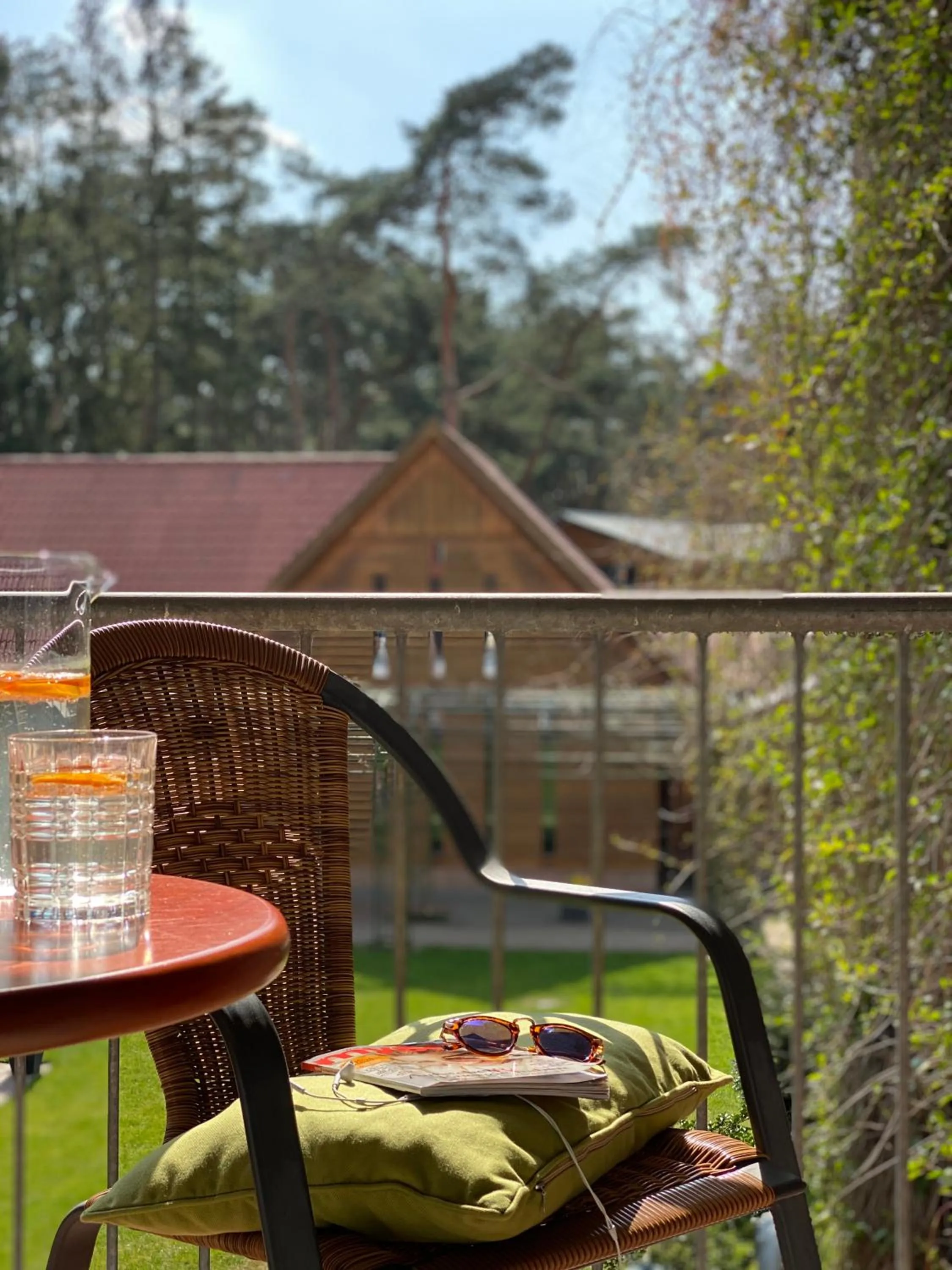 Balcony/Terrace in Hotel Heidegrund