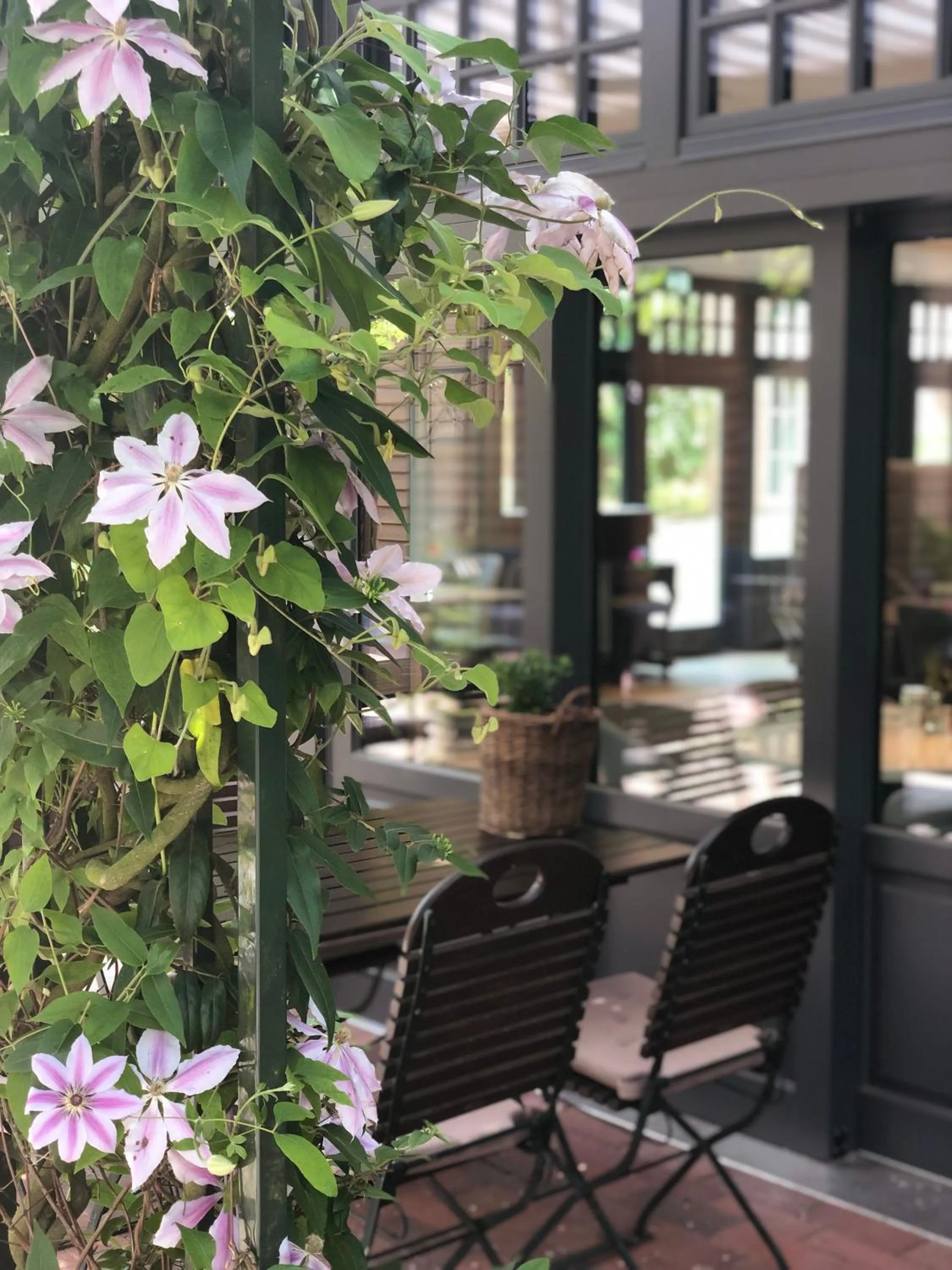 Garden in Hotel Heidegrund