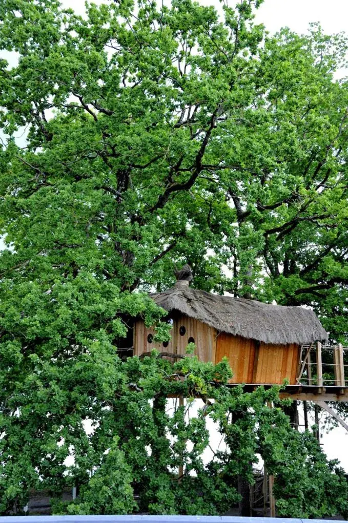 Spa and wellness centre/facilities in Logis Hôtel Restaurant Relais Du Gué De Selle Spa and wellness centre/facilities in Logis Hôtel Restaurant Relais Du Gué De Selle