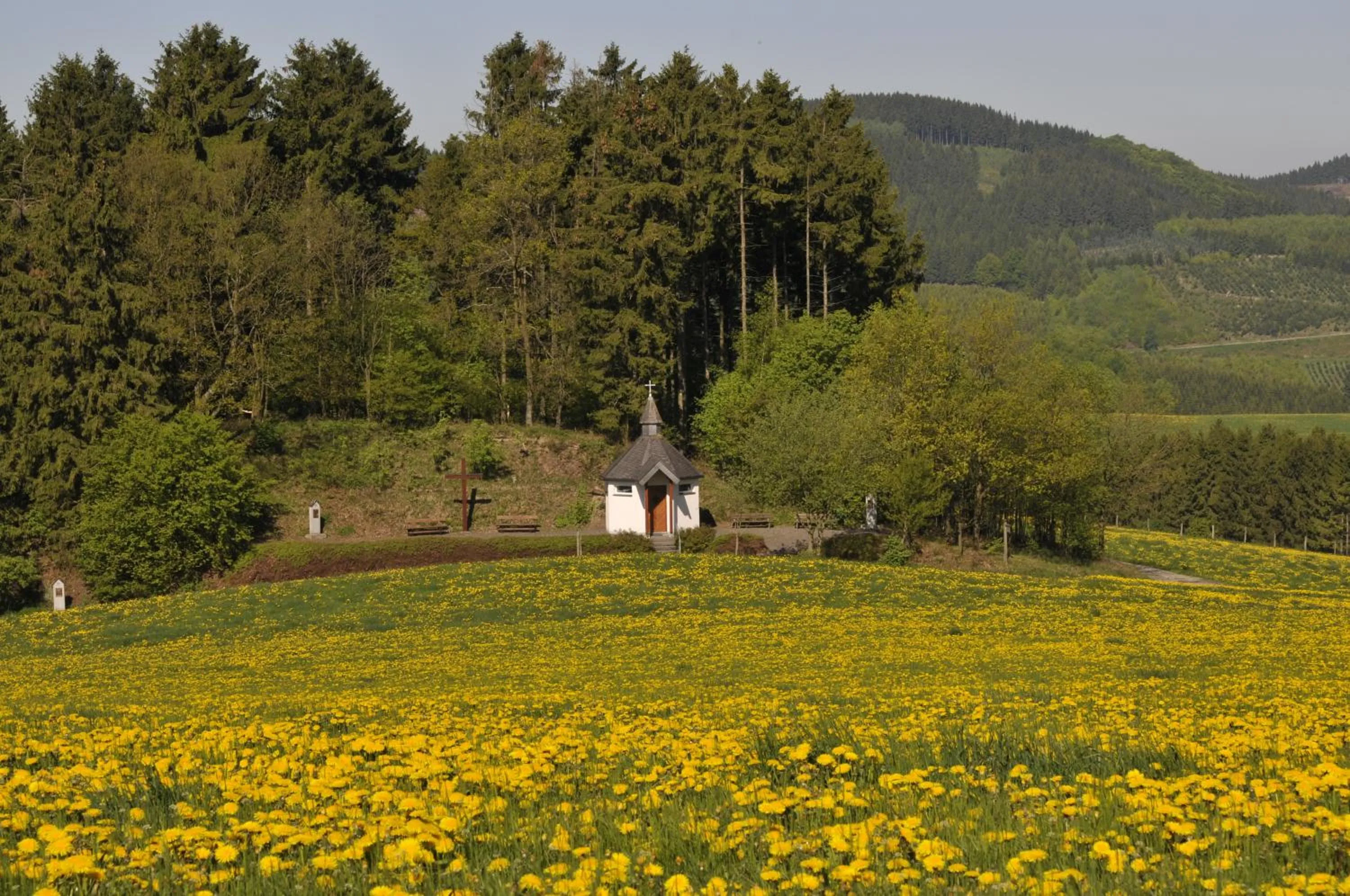 Other in Wüllner's Landgasthof