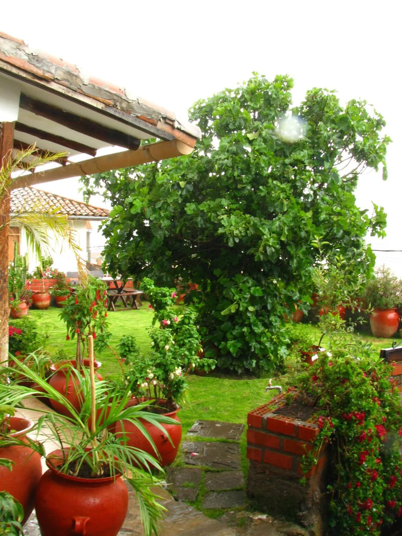 Garden in Hotel Encantada Casa Boutique Spa