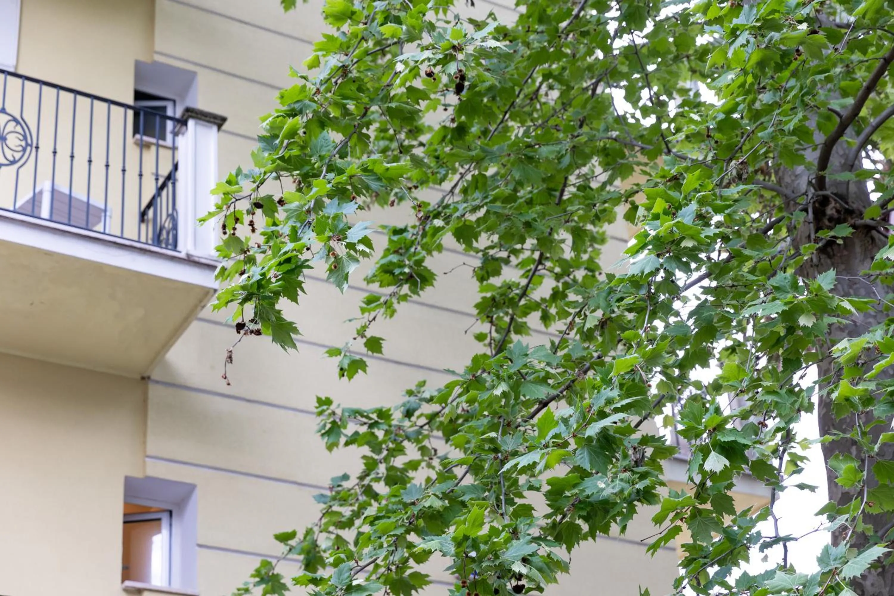 Property building in Hotel La Nidiola