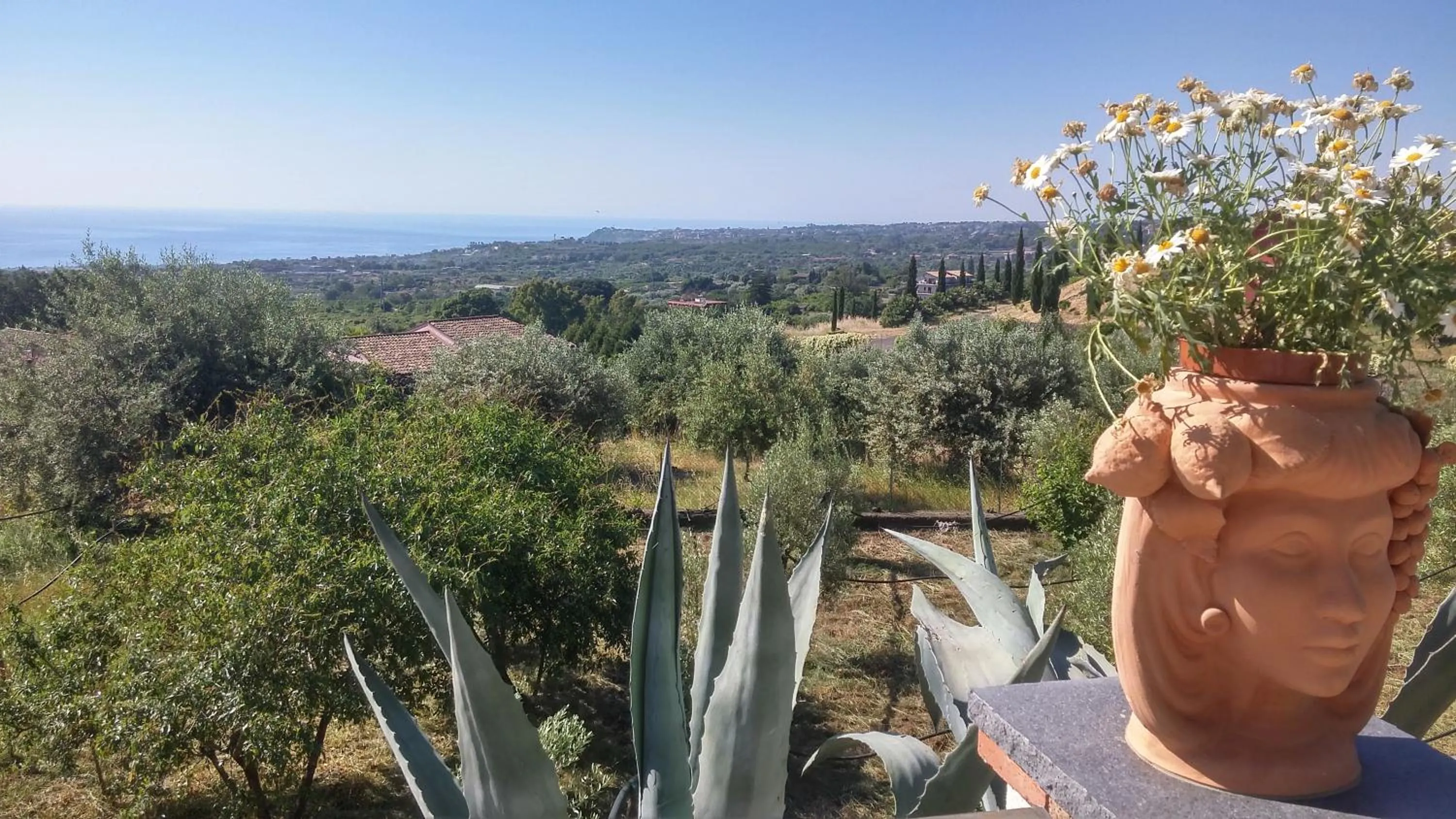 View (from property/room) in La Casa del Melograno