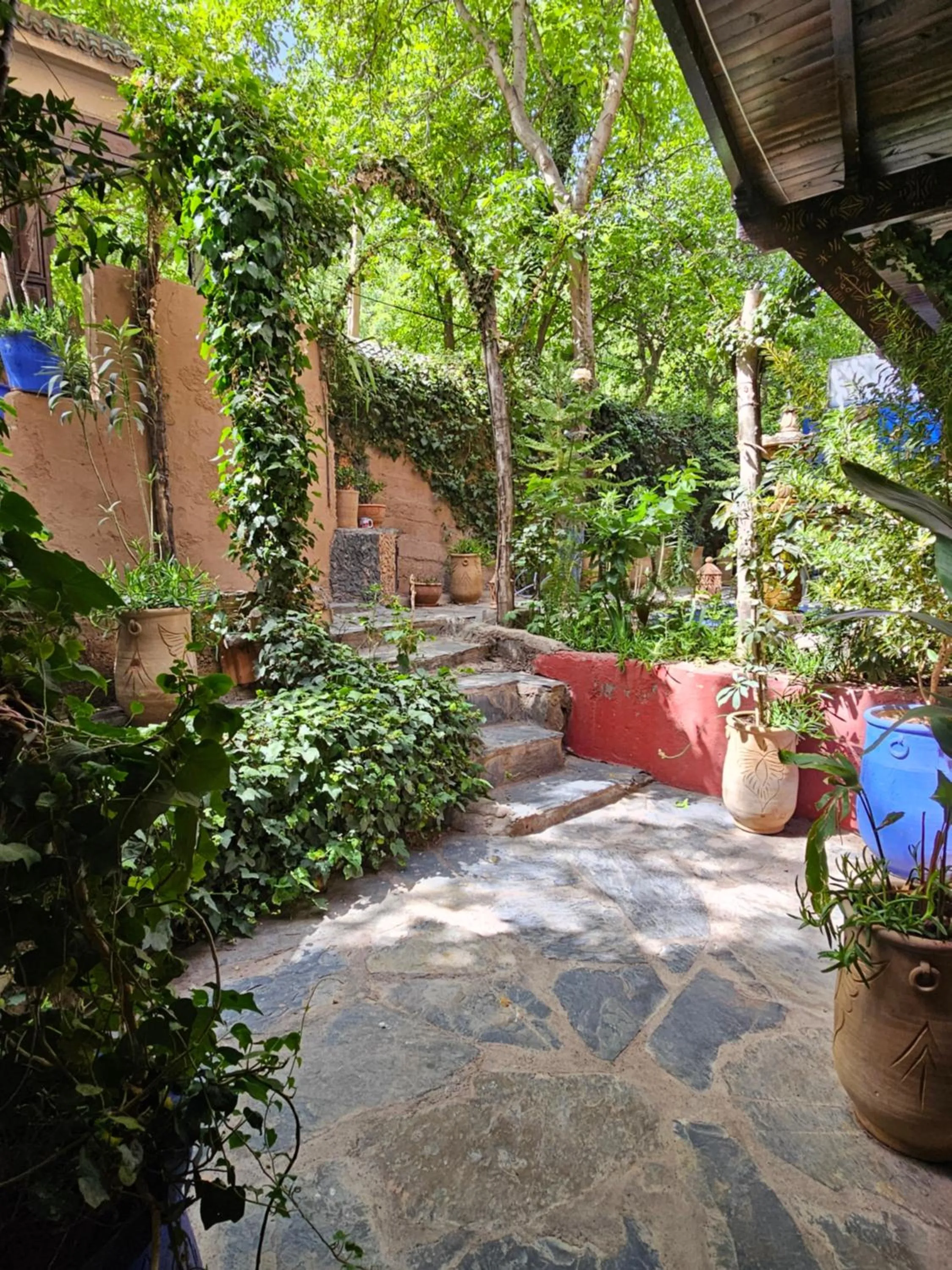 Garden in Riad Oussagou