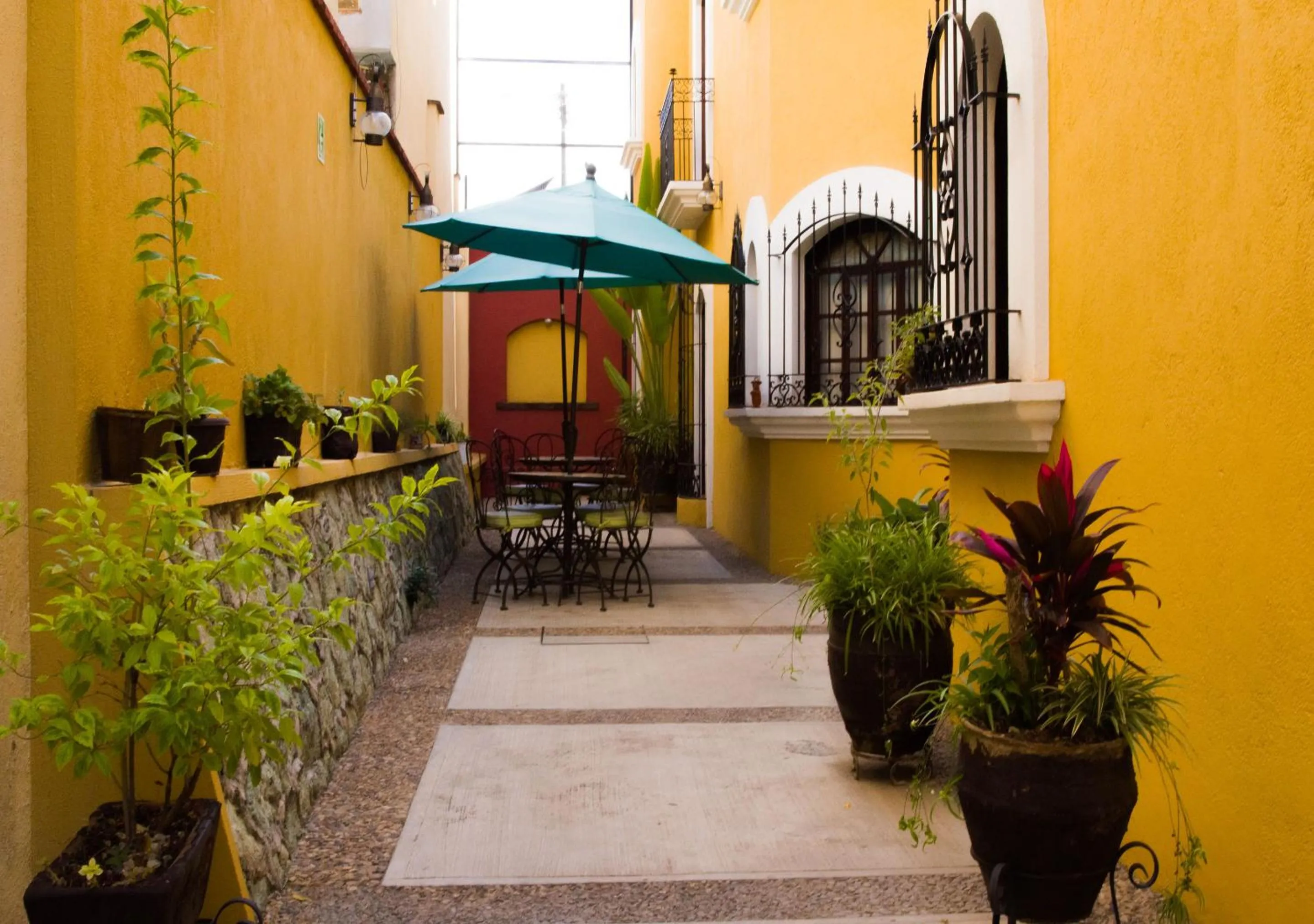 Balcony/Terrace in Suites Bello Xochimilco