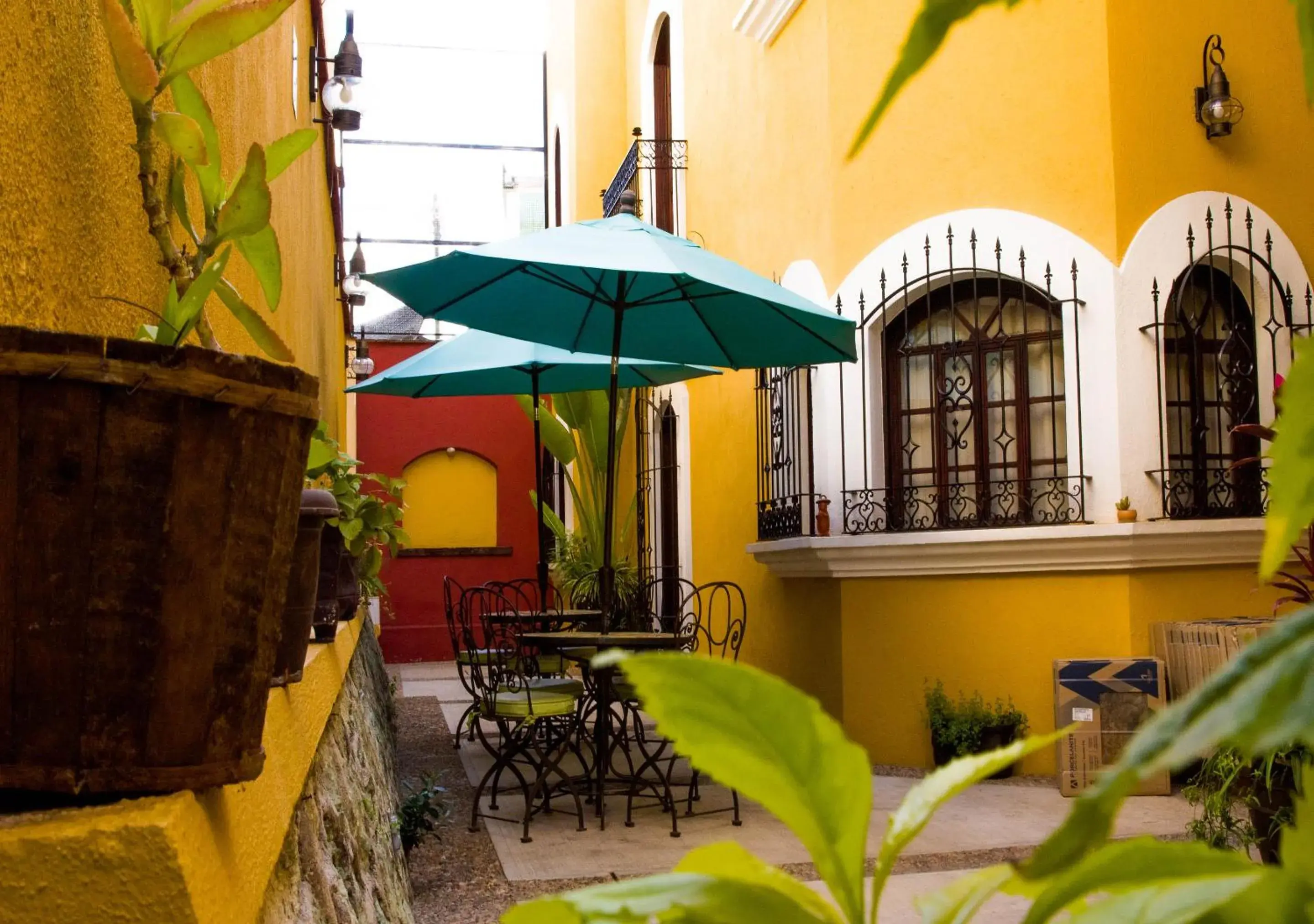 Balcony/Terrace in Suites Bello Xochimilco Balcony/Terrace in Suites Bello Xochimilco