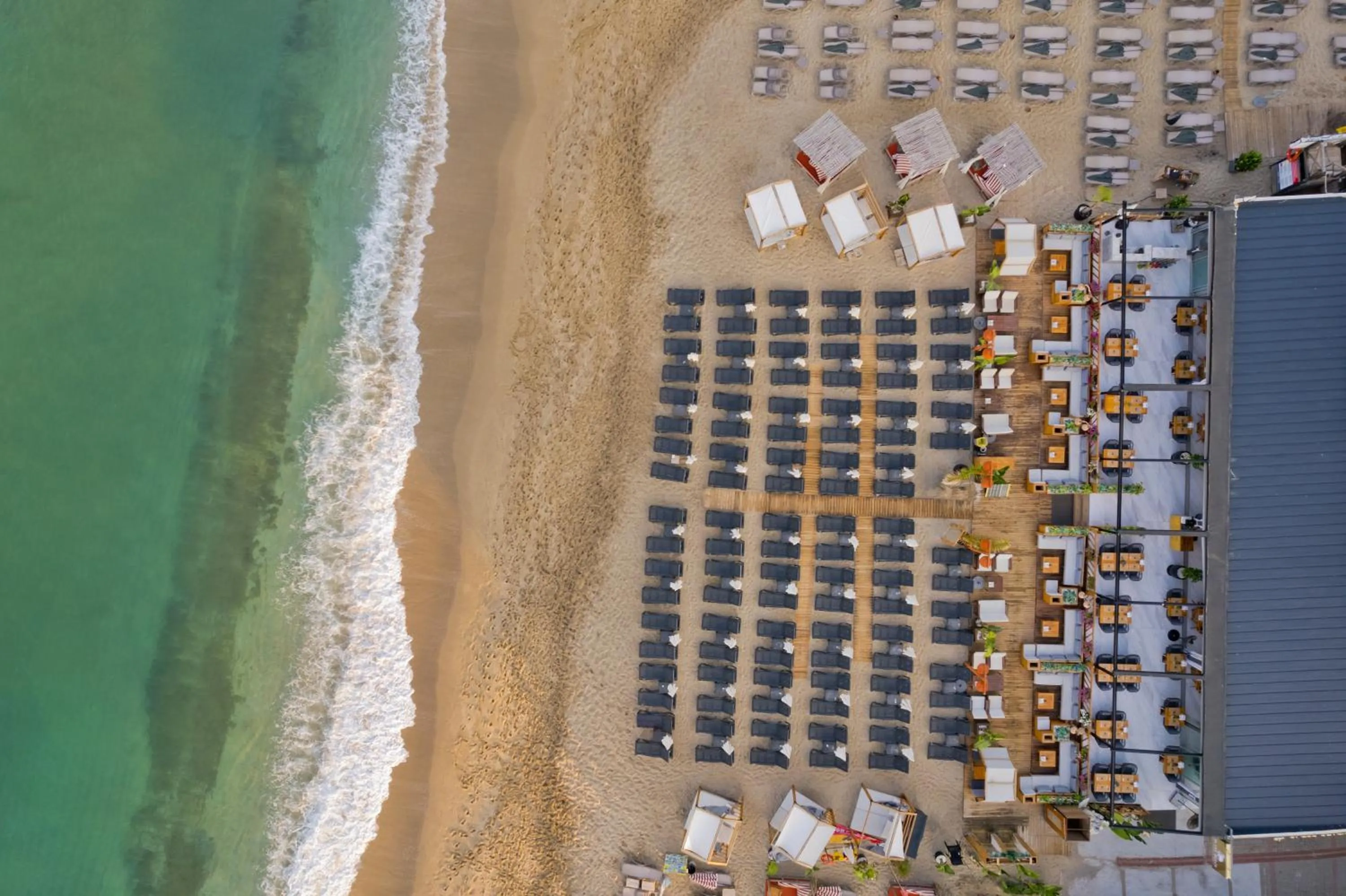 Natural landscape in Royalisa Palmiye Beach Hotel Adult Only