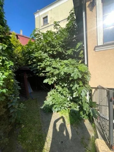 Property building in Hotel Bończa