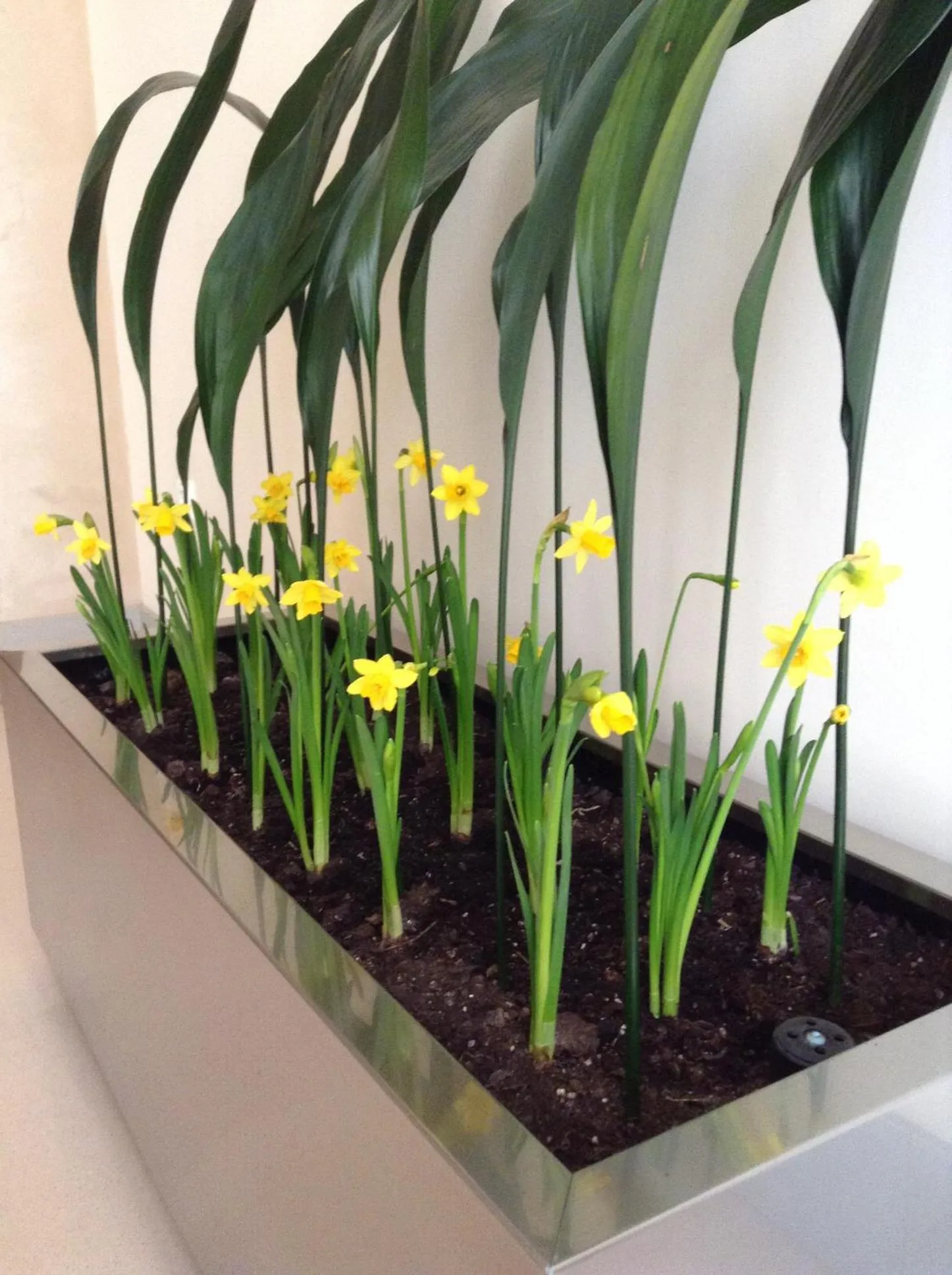 Balcony/Terrace in Hotel Central