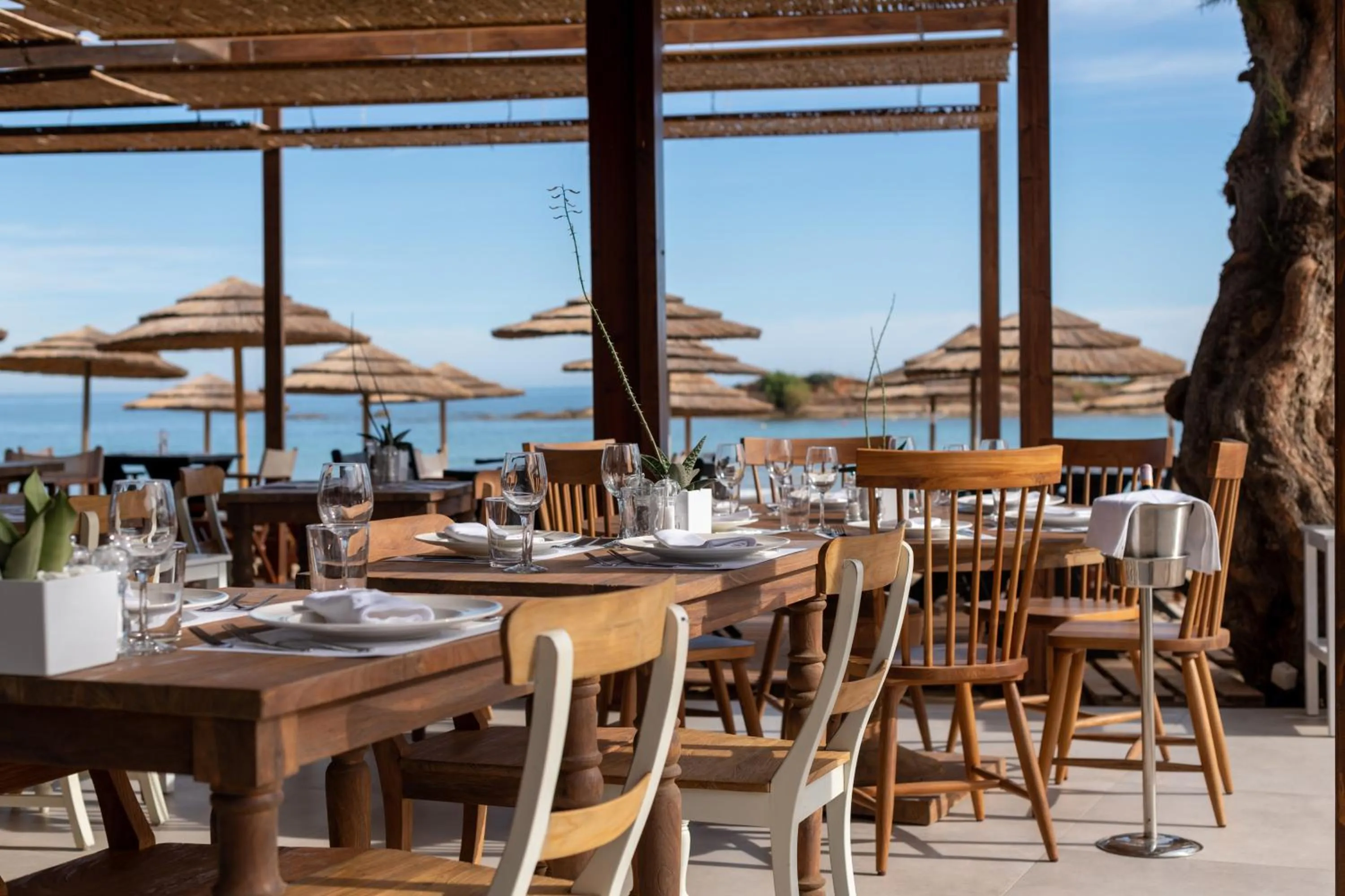 Restaurant/places to eat in High Beach Resort