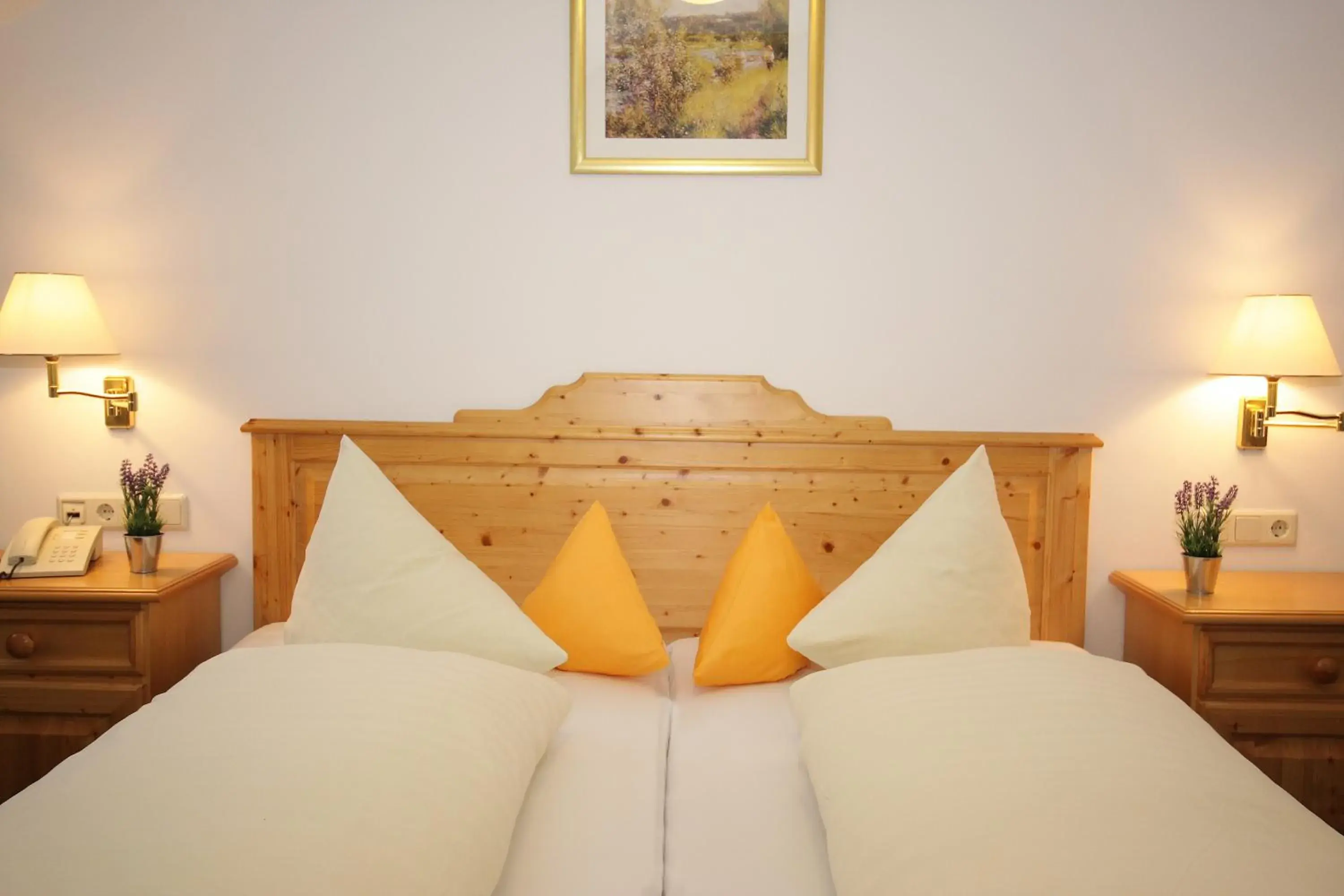 Double Room - single occupancy in Hotel Trasen Double Room - single occupancy in Hotel Trasen