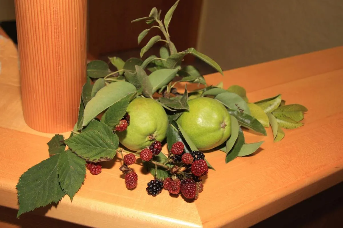 Food in Hotel Trasen